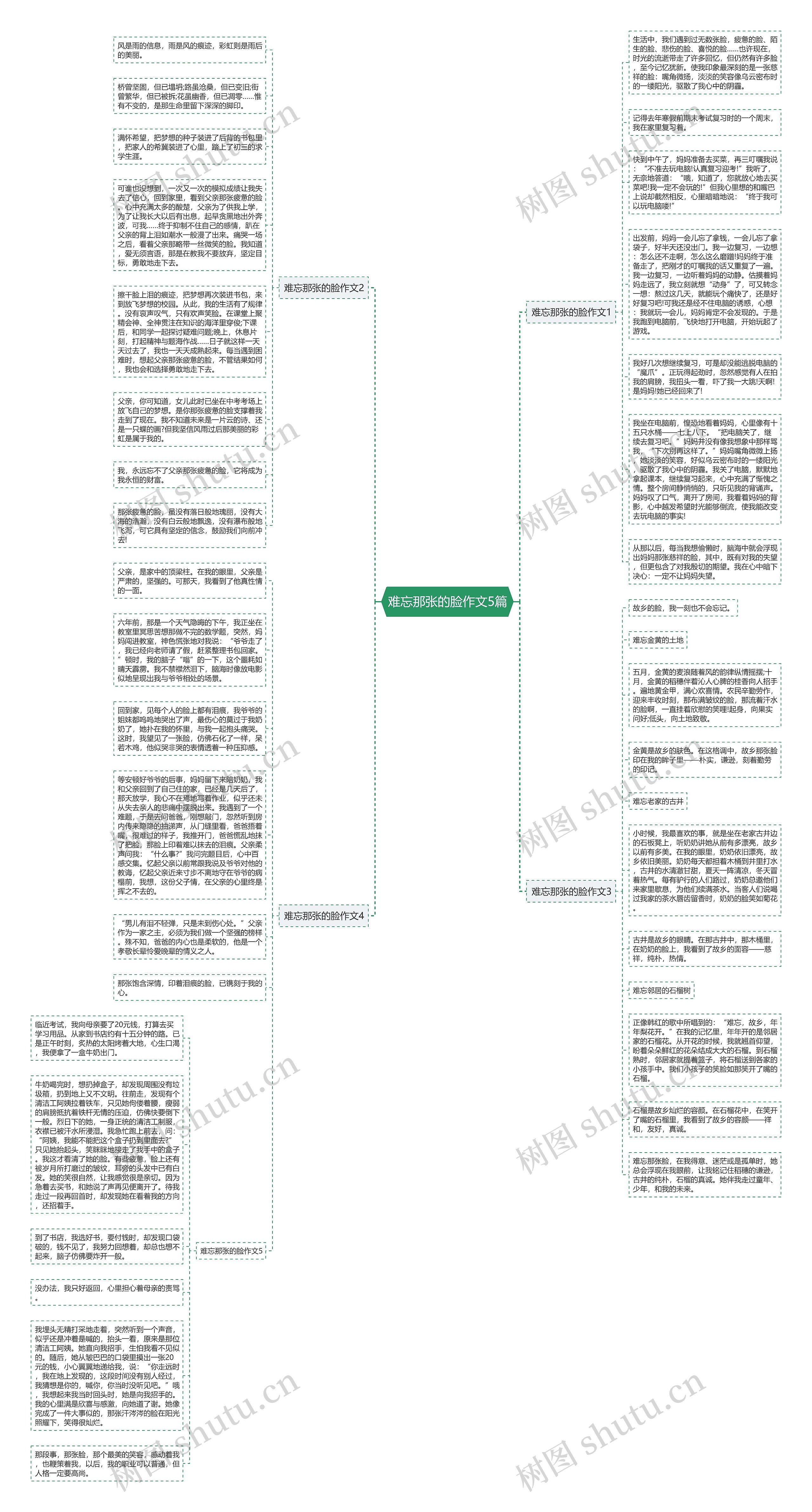 难忘那张的脸作文5篇思维导图