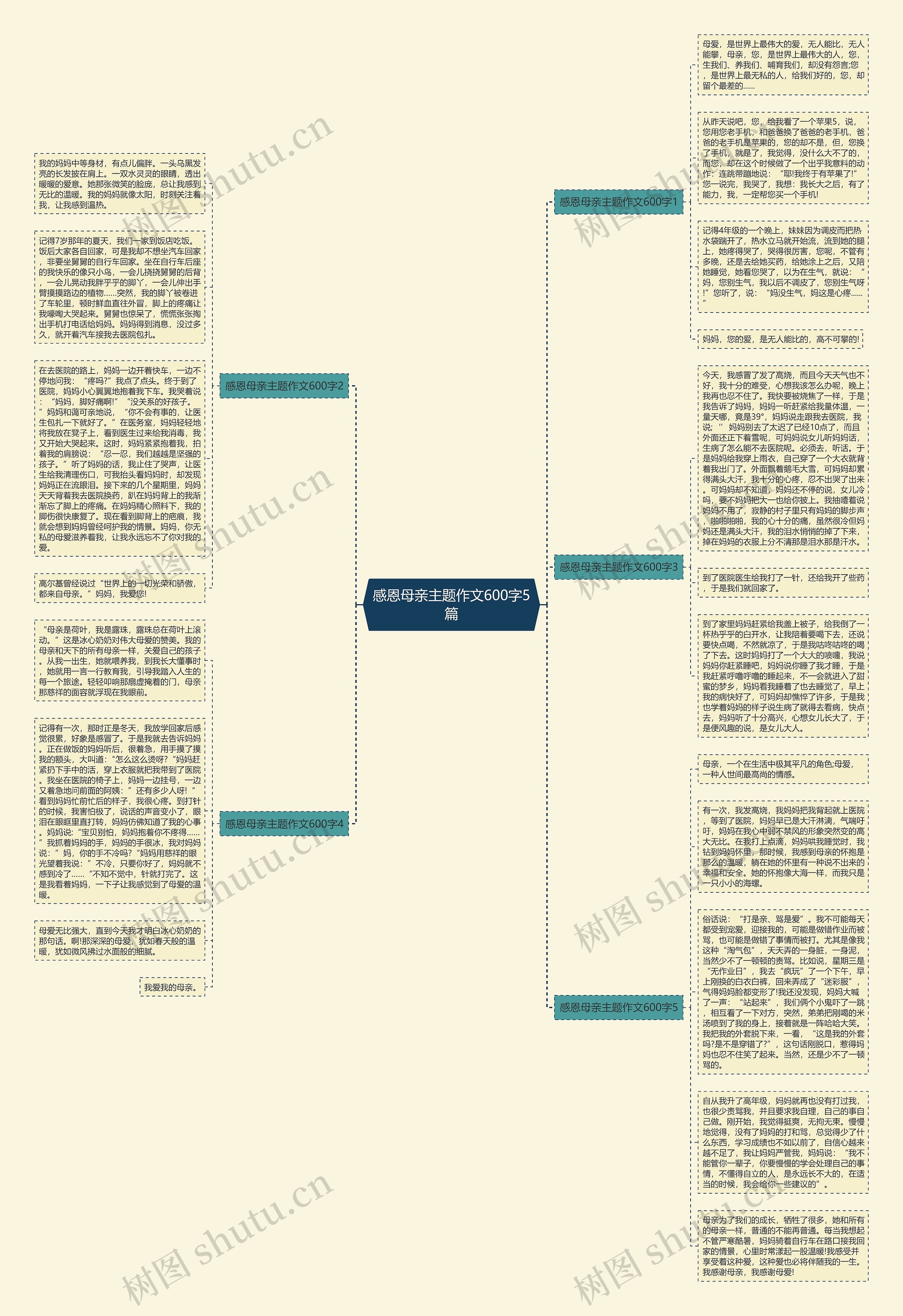 感恩母亲主题作文600字5篇思维导图