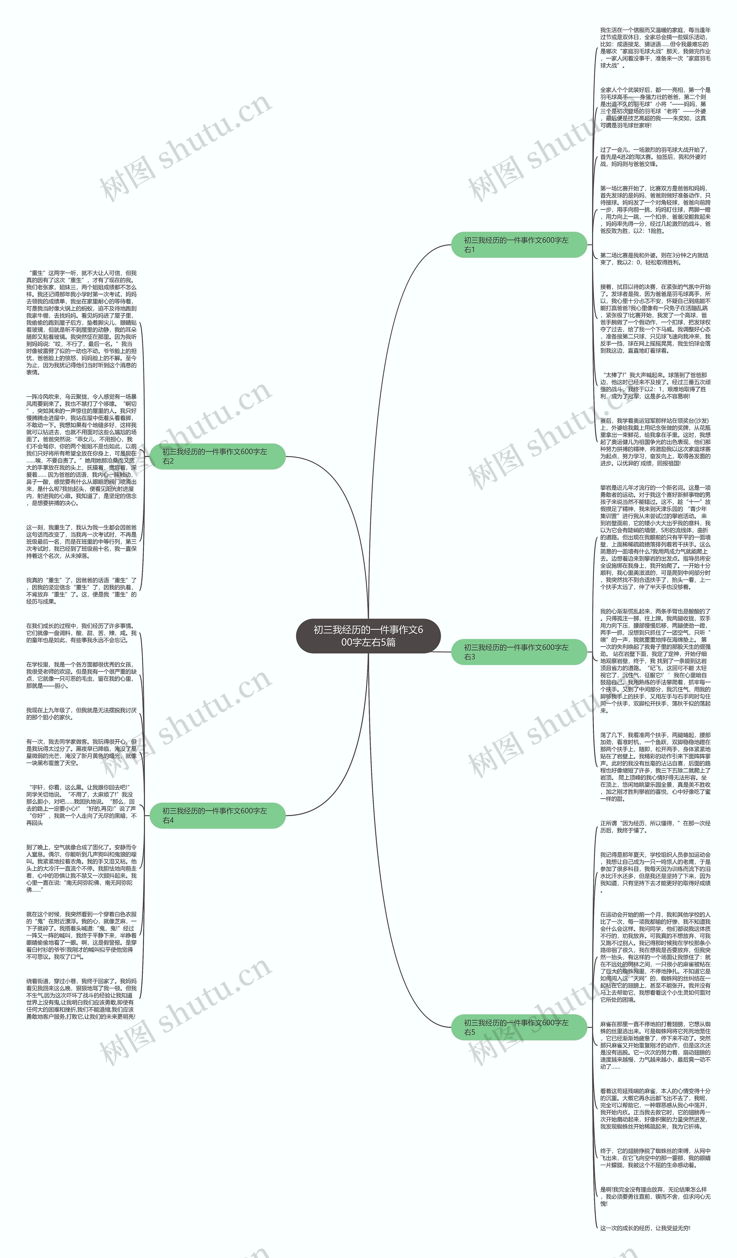 初三我经历的一件事作文600字左右5篇思维导图
