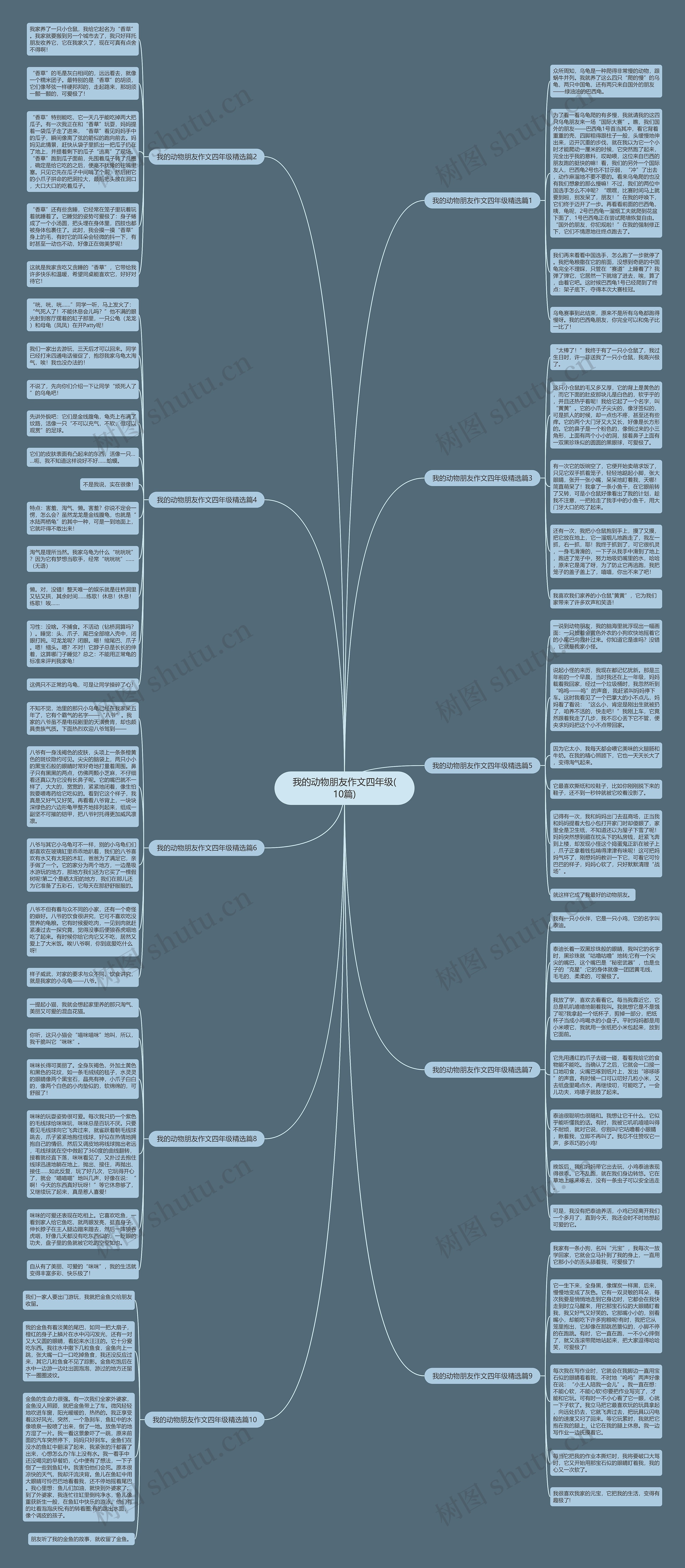 我的动物朋友作文四年级(10篇)思维导图