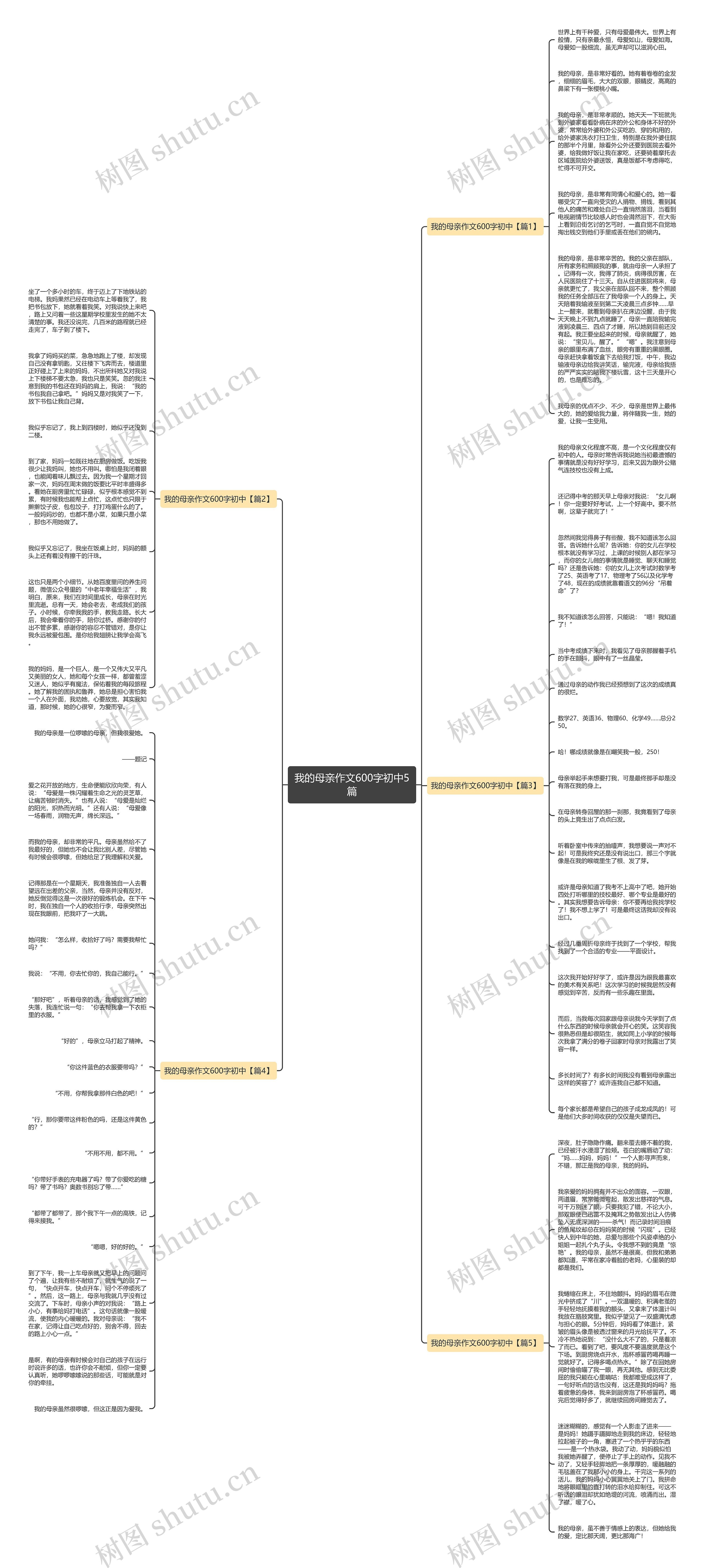 我的母亲作文600字初中5篇思维导图