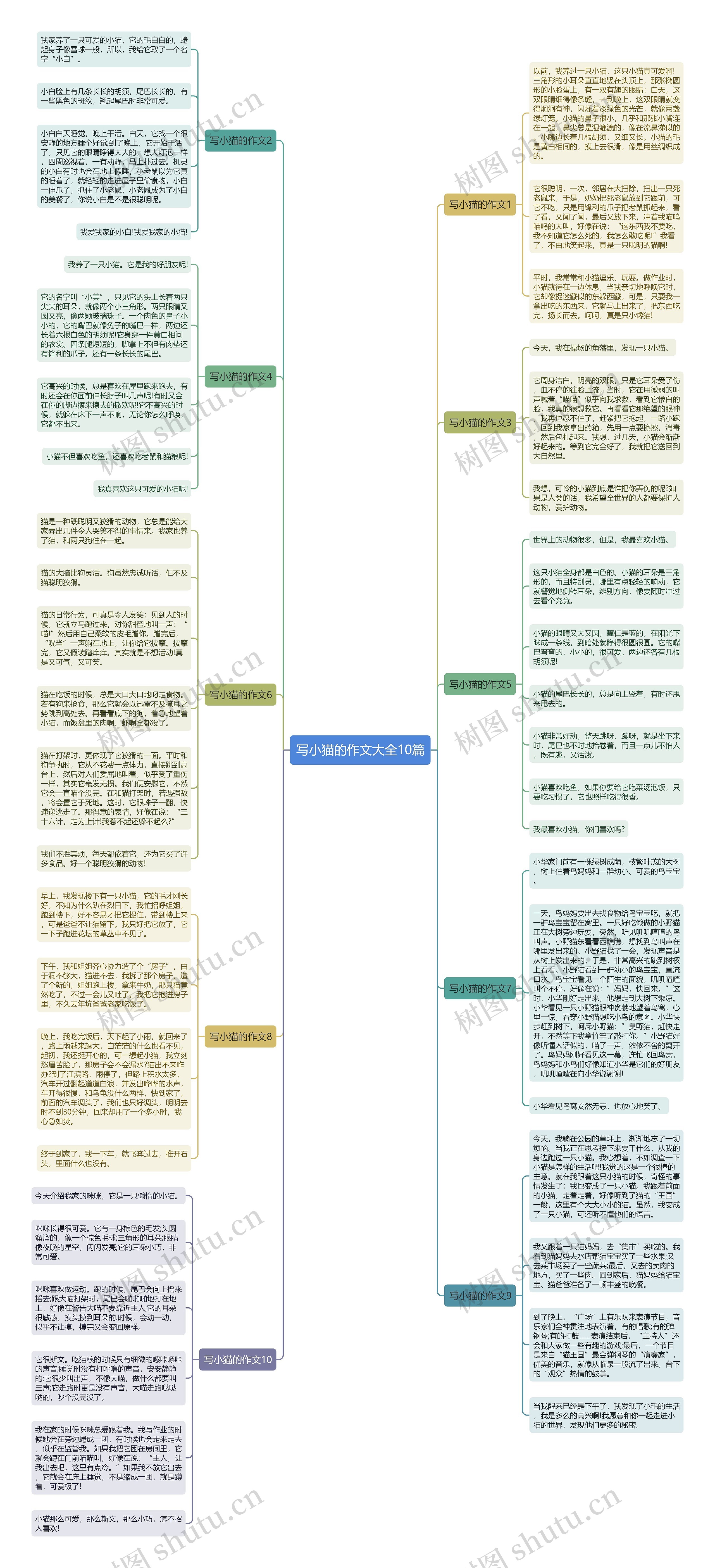 写小猫的作文大全10篇思维导图