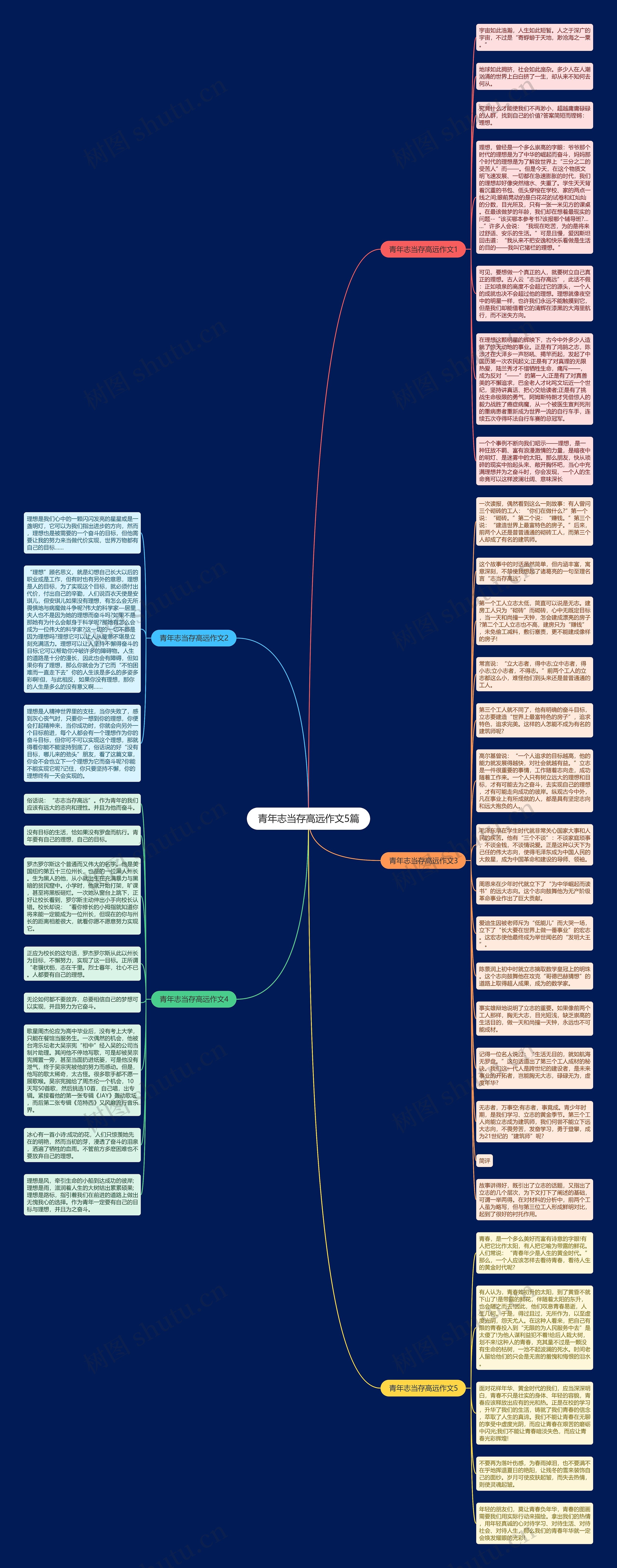 青年志当存高远作文5篇思维导图