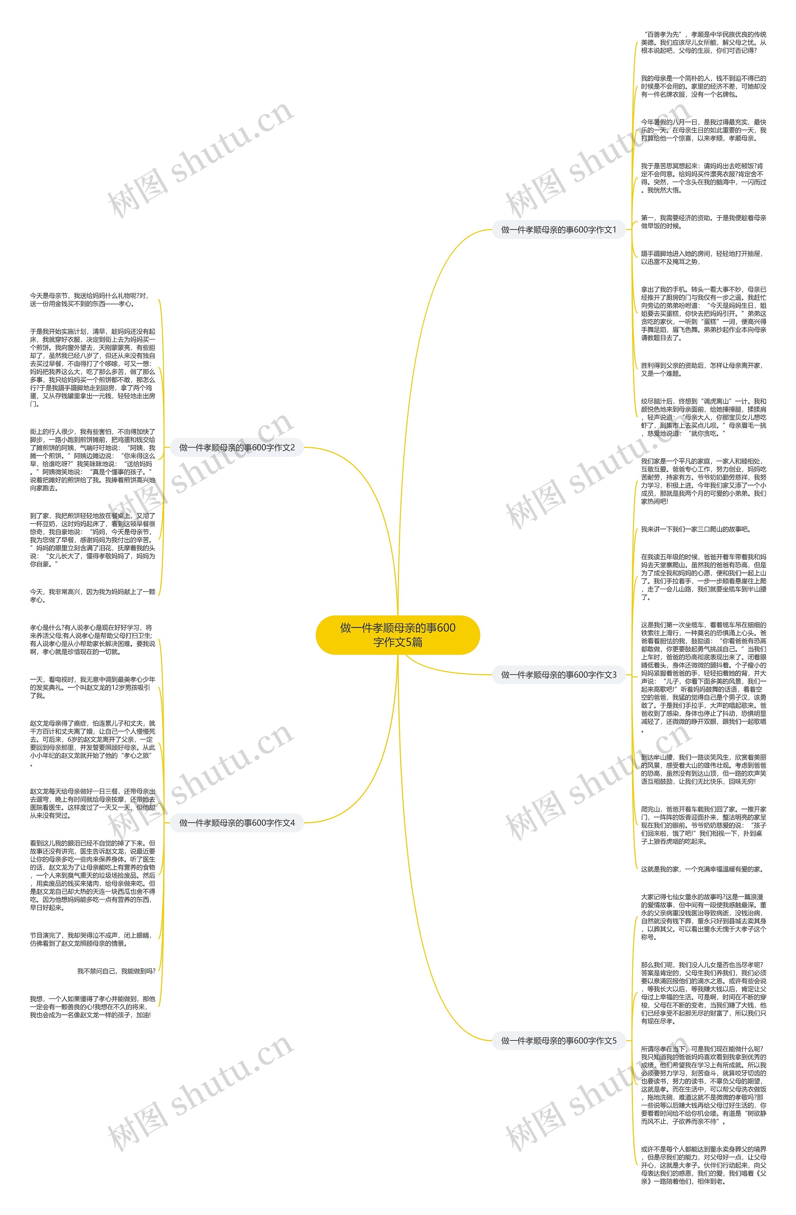 做一件孝顺母亲的事600字作文5篇思维导图