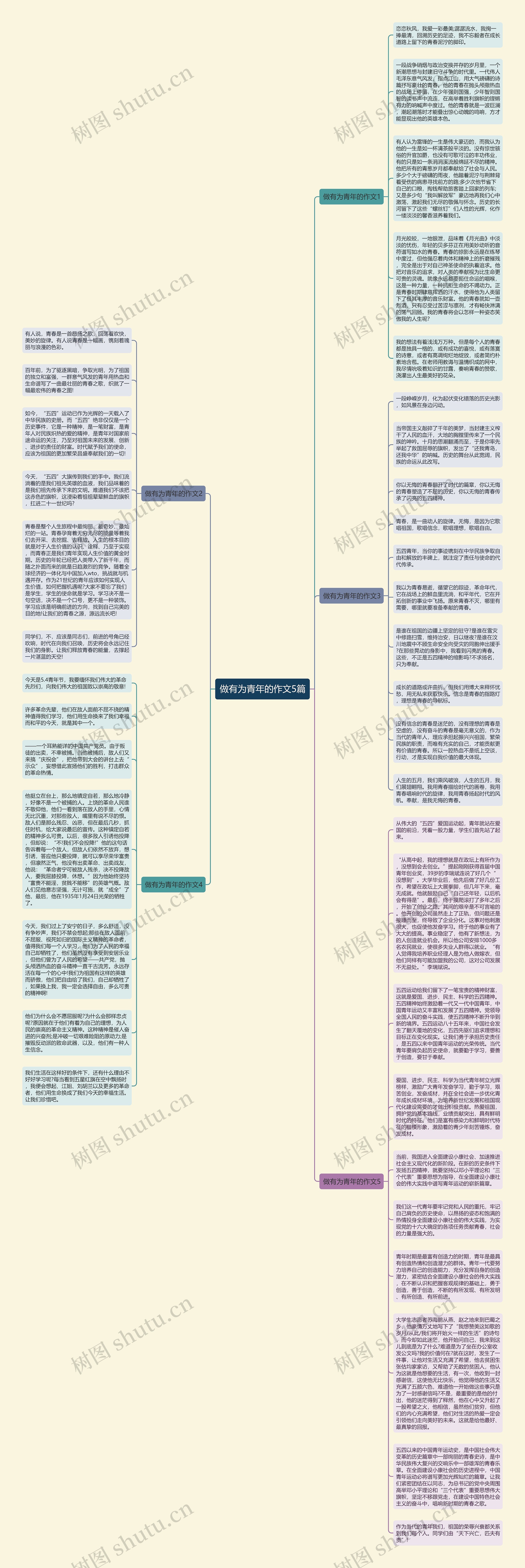 做有为青年的作文5篇思维导图