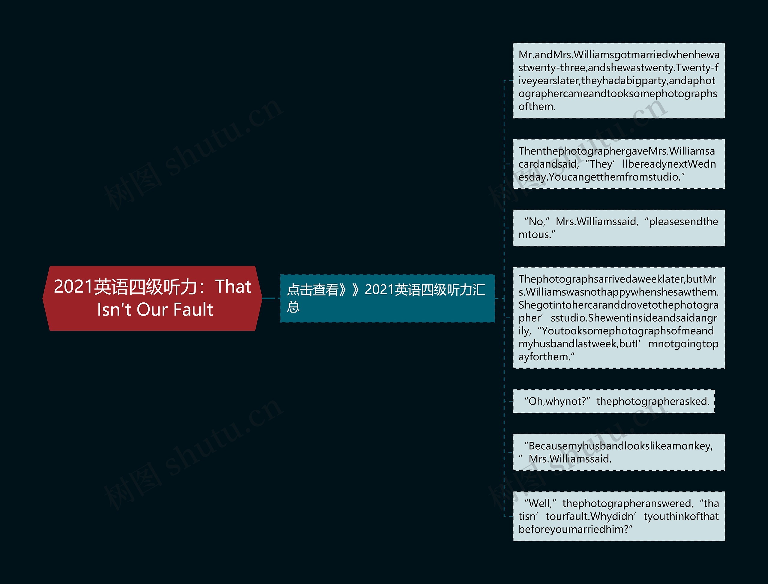 2021英语四级听力：That Isn't Our Fault思维导图