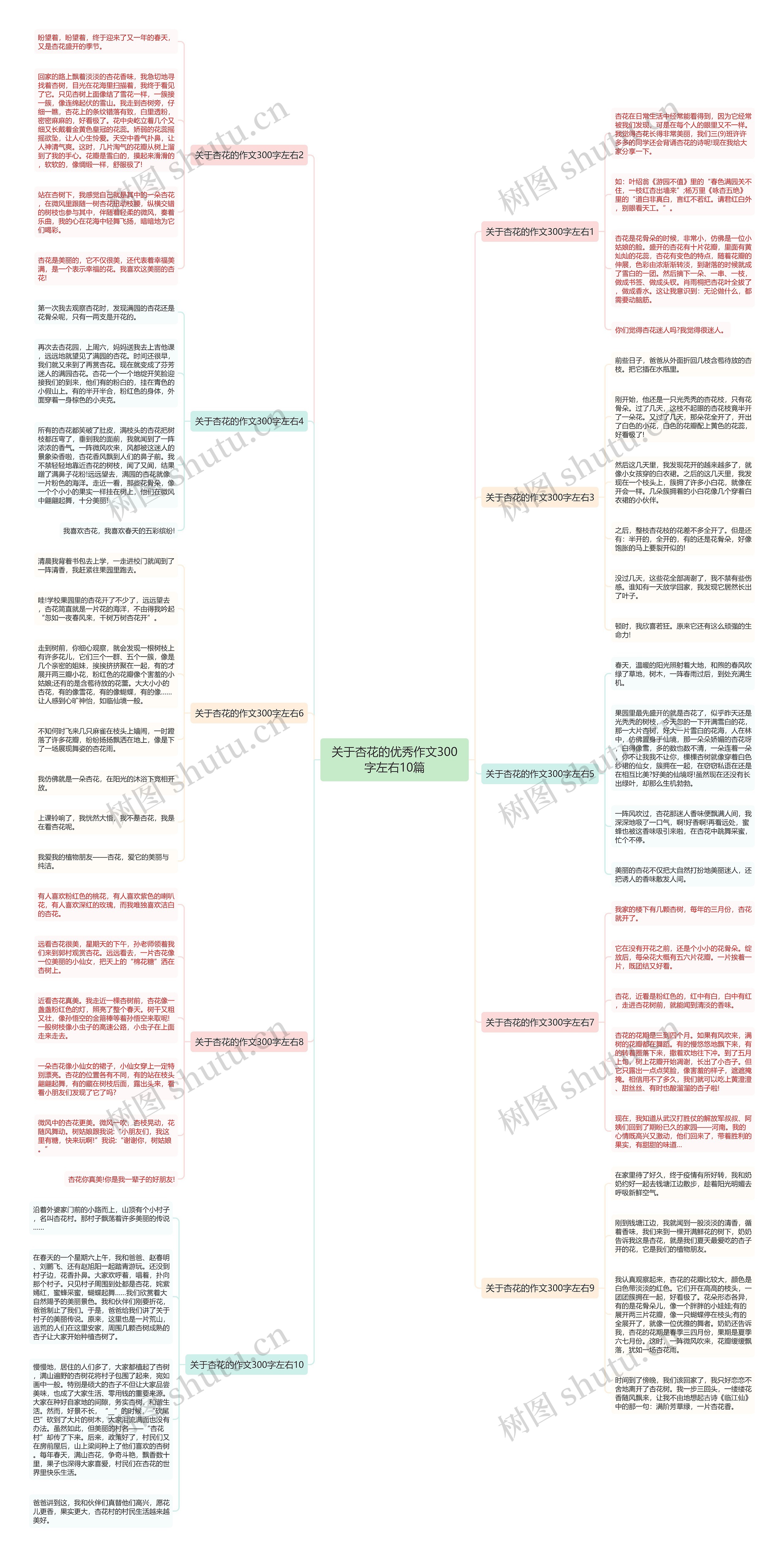 关于杏花的优秀作文300字左右10篇思维导图