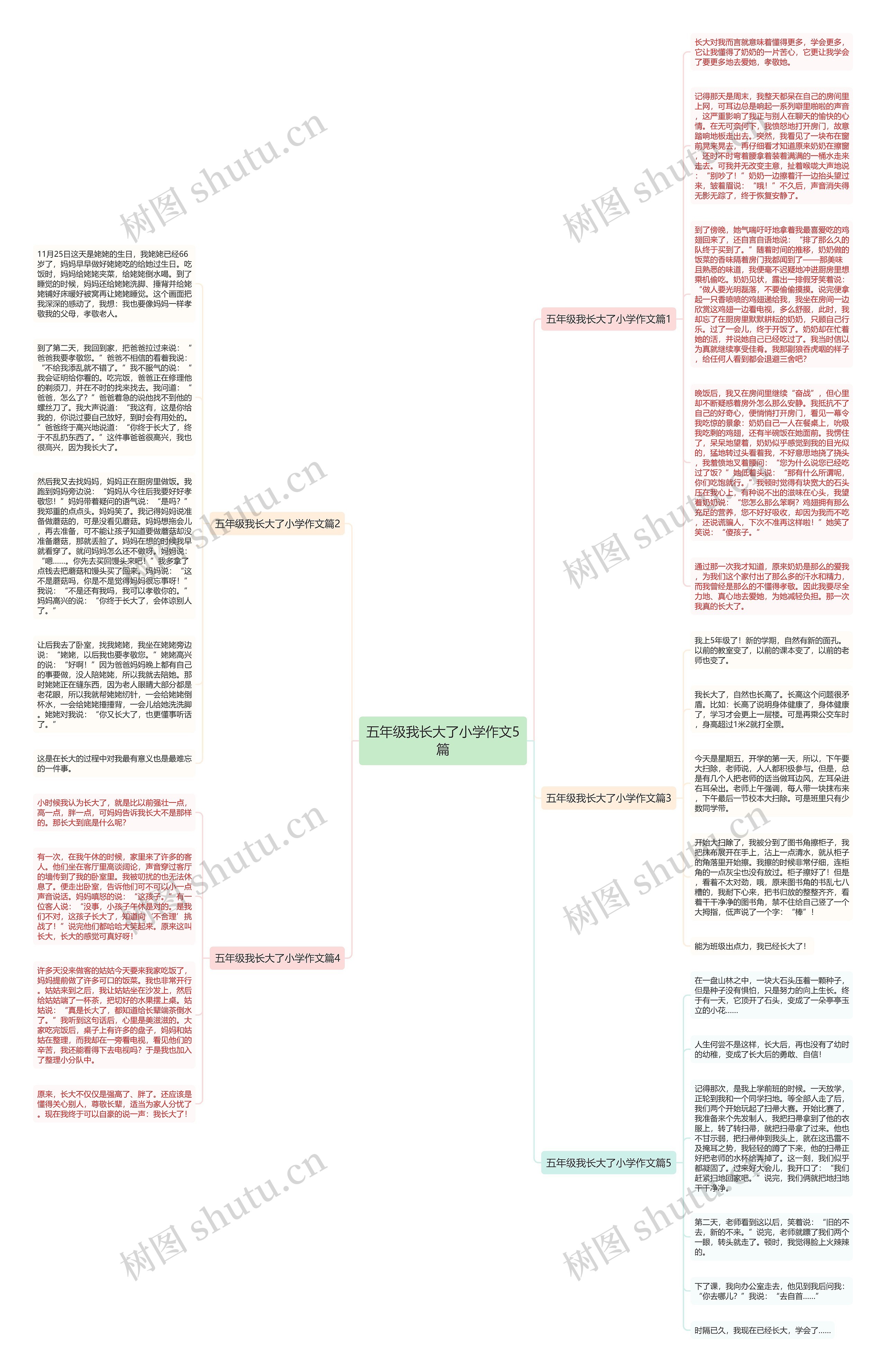 五年级我长大了小学作文5篇思维导图
