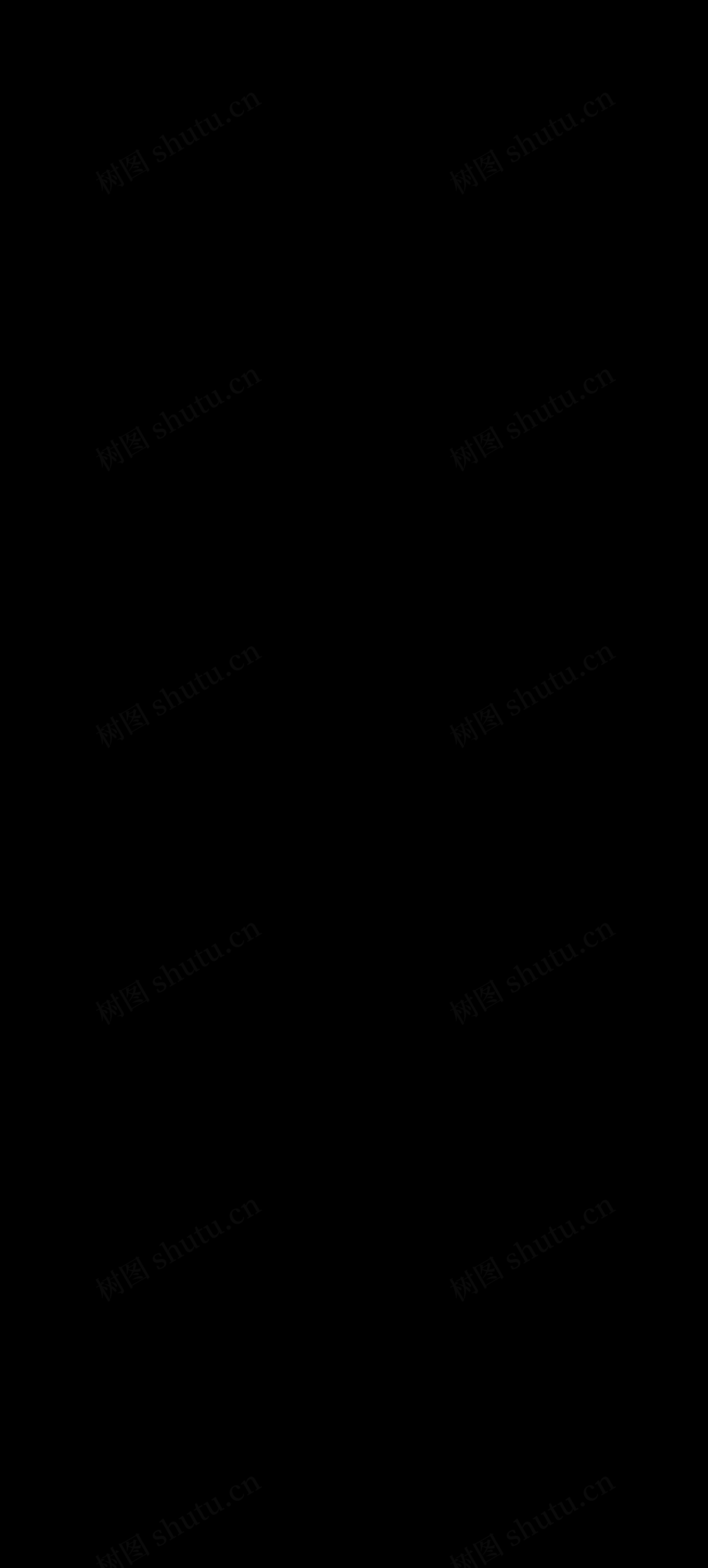 大学英语六级单词表乱序版（十三）