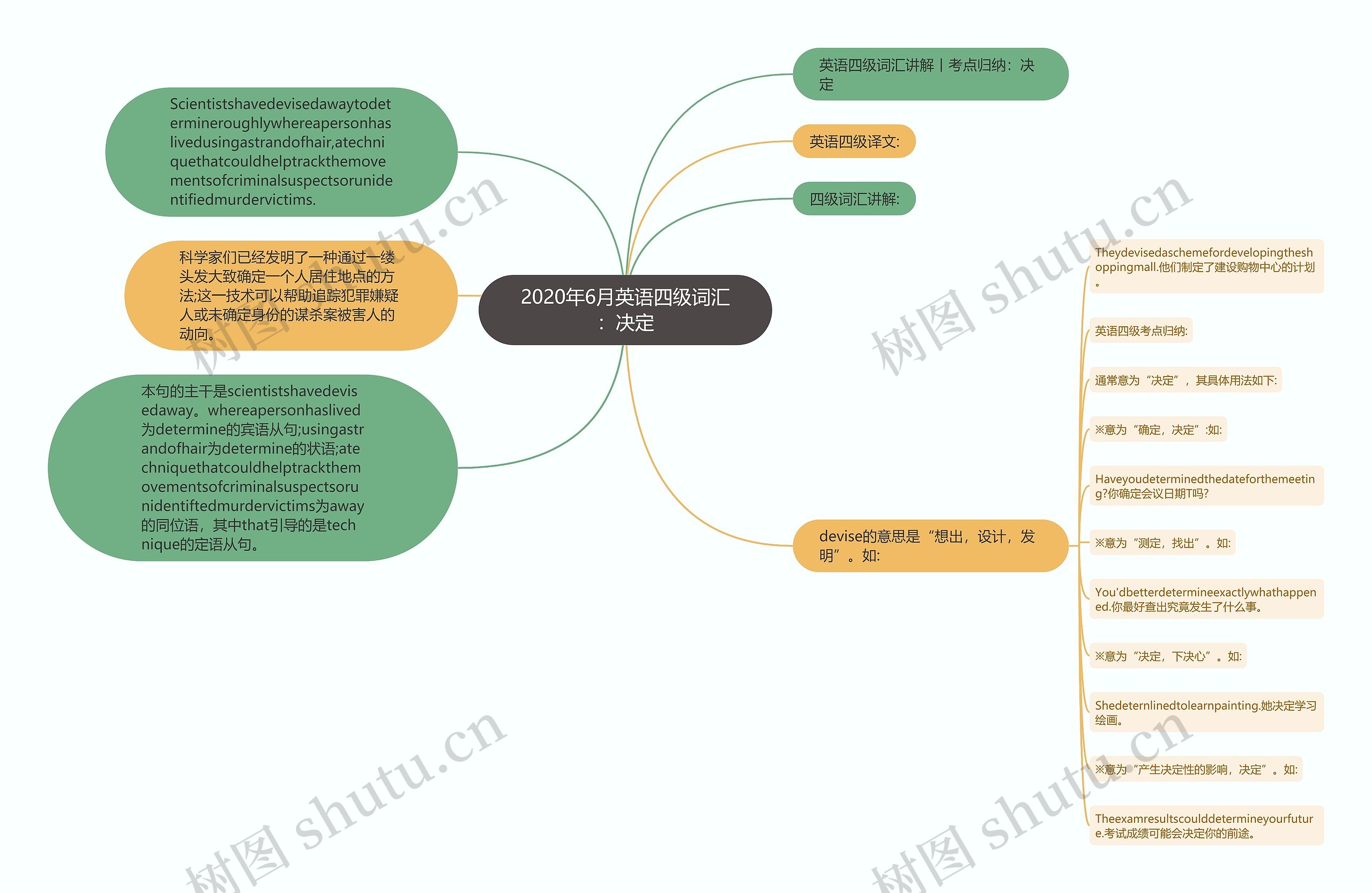 2020年6月英语四级词汇：决定思维导图