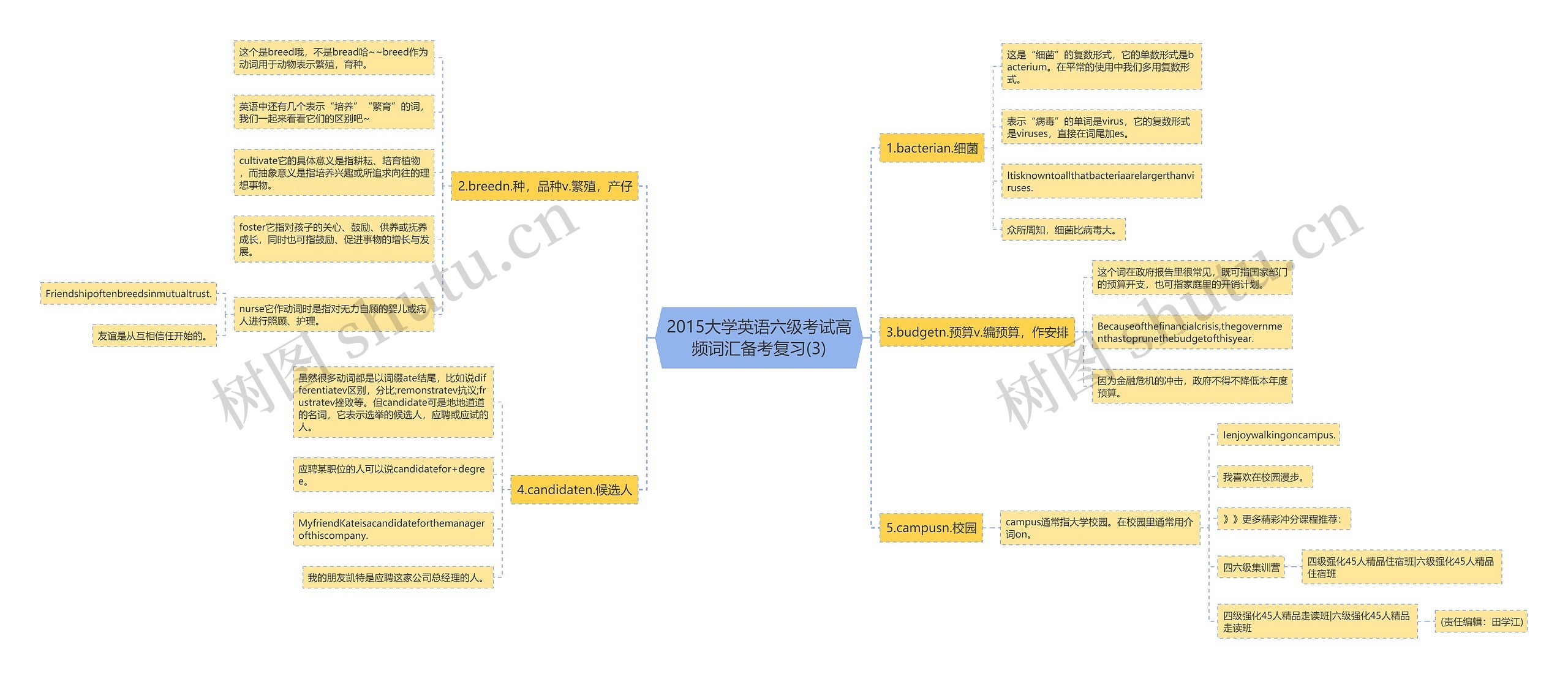 2015大学英语六级考试高频词汇备考复习(3)