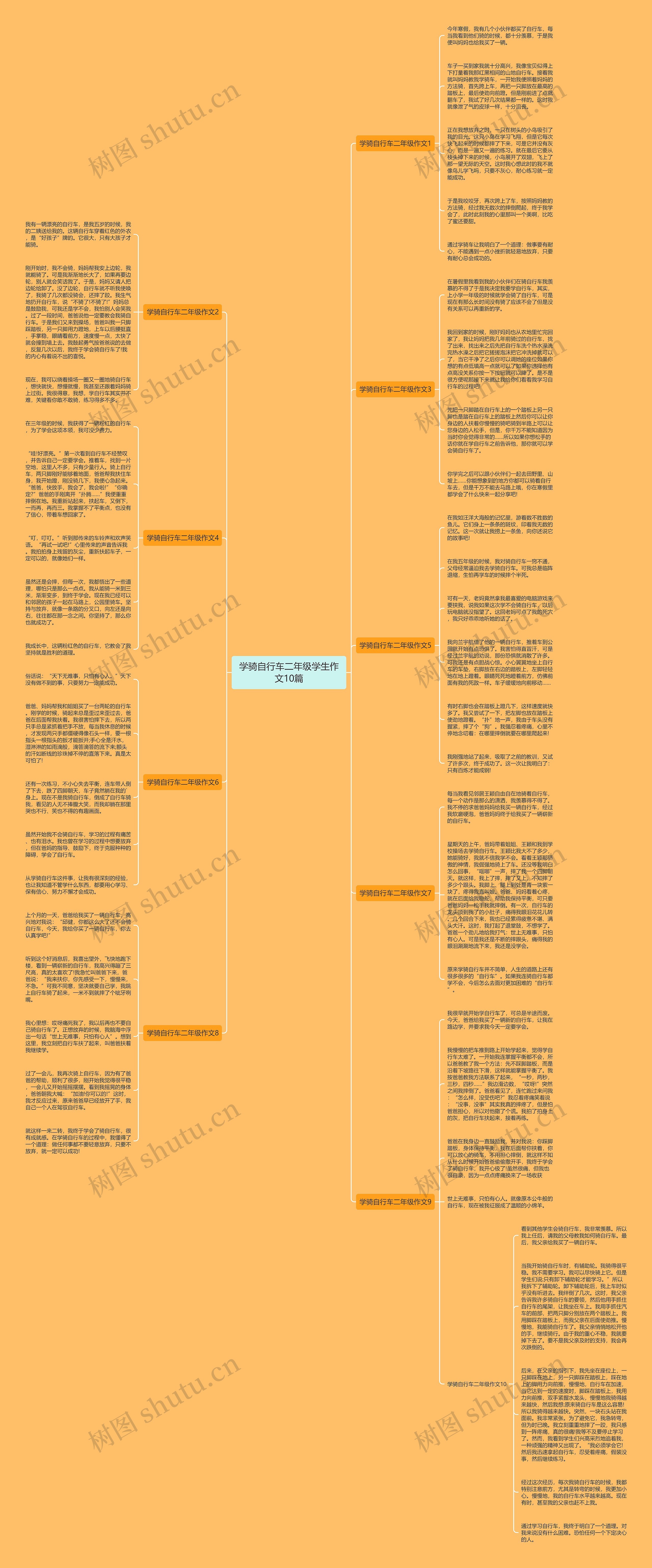 学骑自行车二年级学生作文10篇思维导图