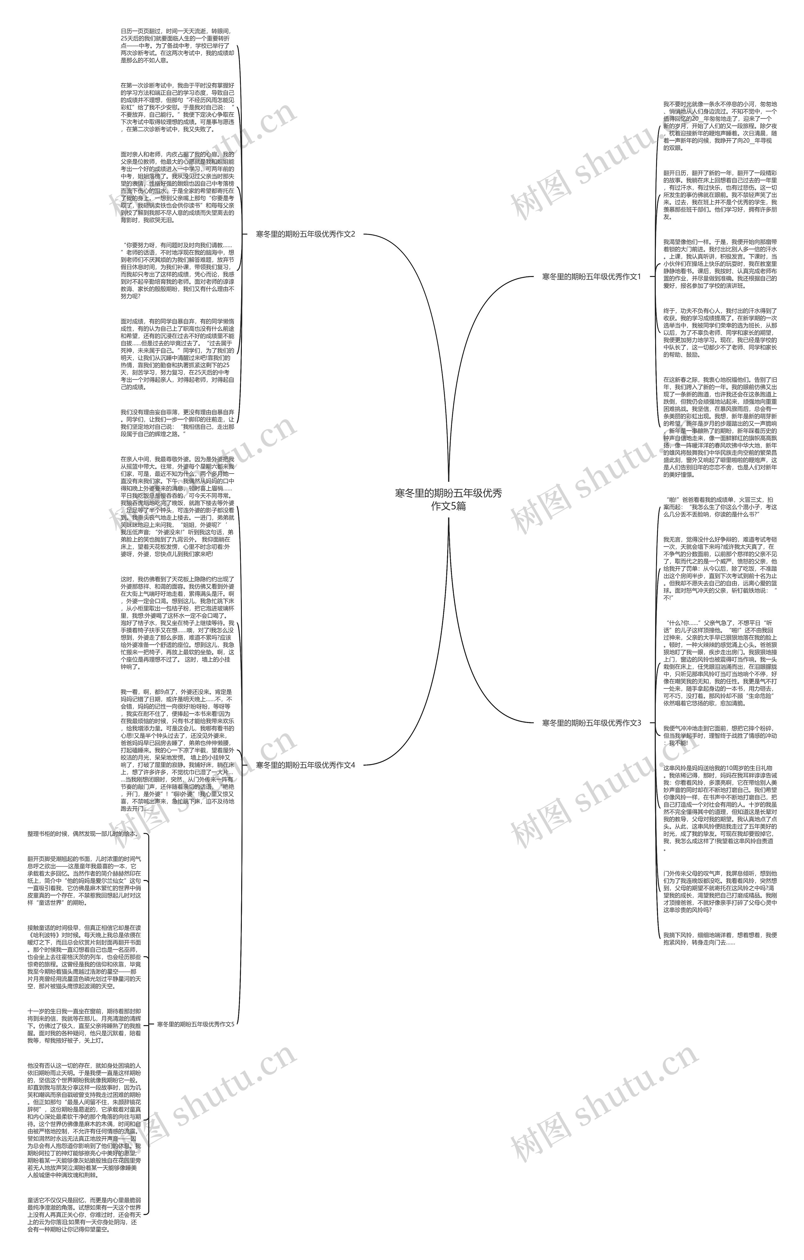 寒冬里的期盼五年级优秀作文5篇思维导图