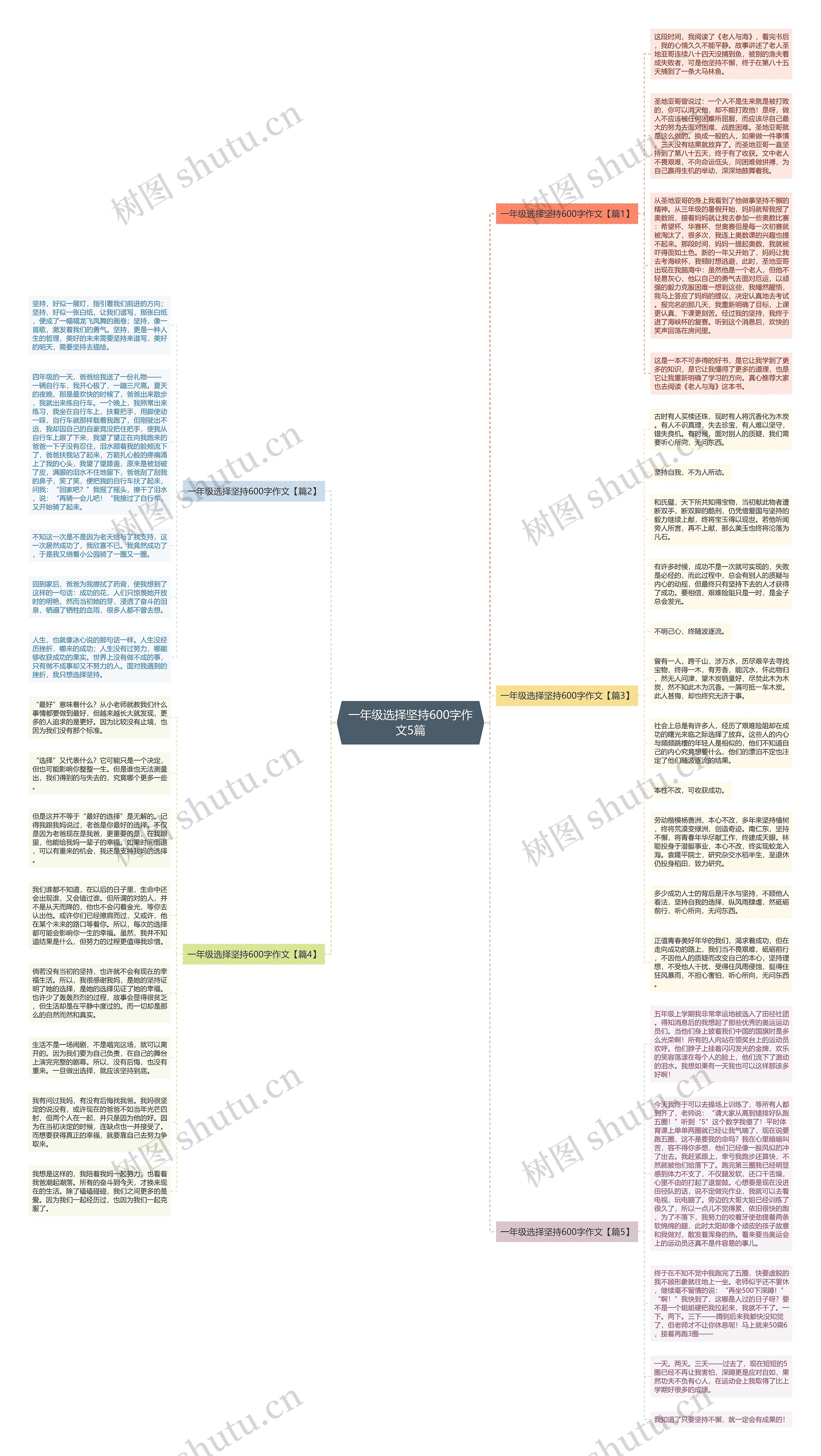 一年级选择坚持600字作文5篇思维导图