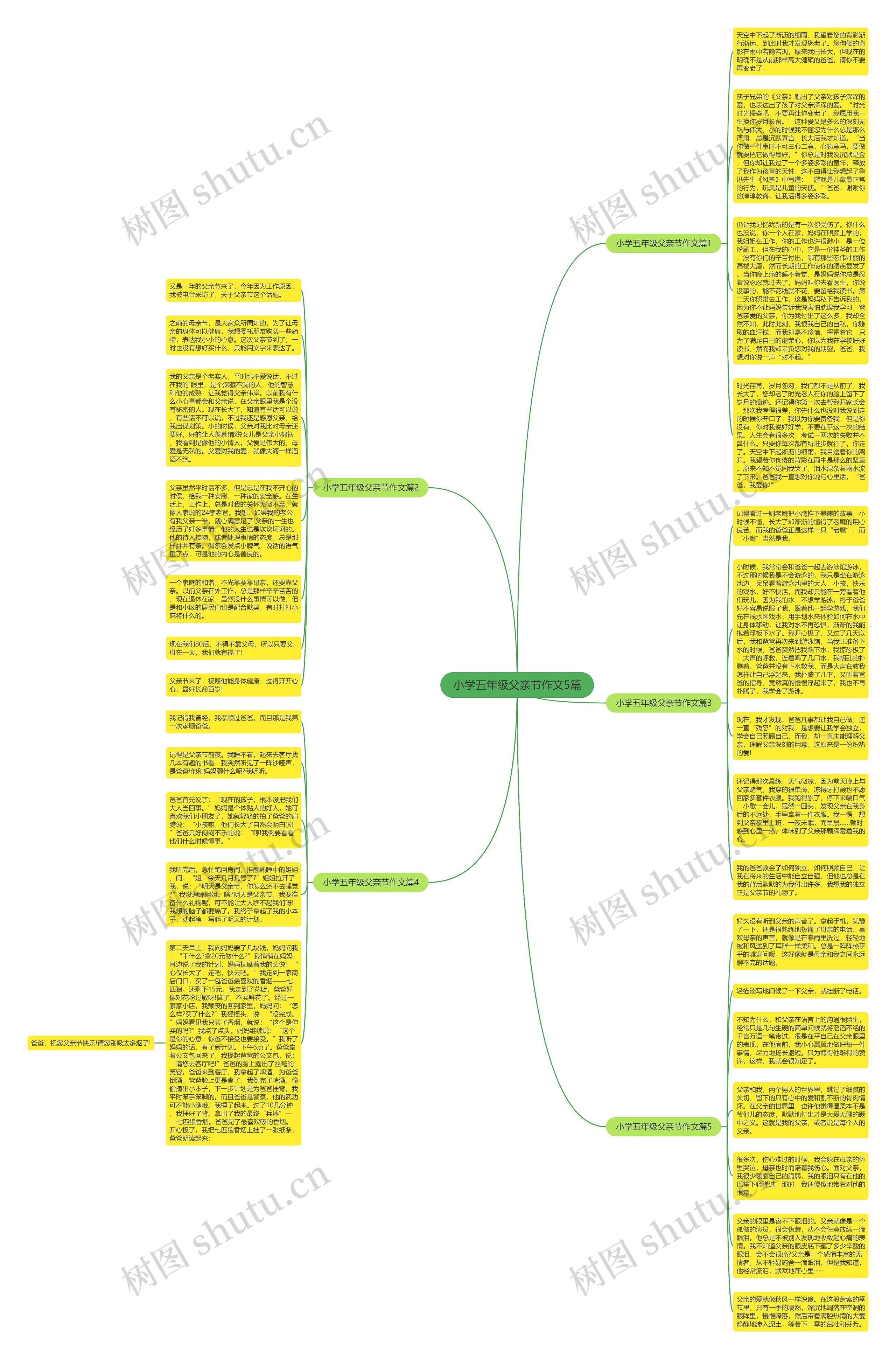 小学五年级父亲节作文5篇思维导图