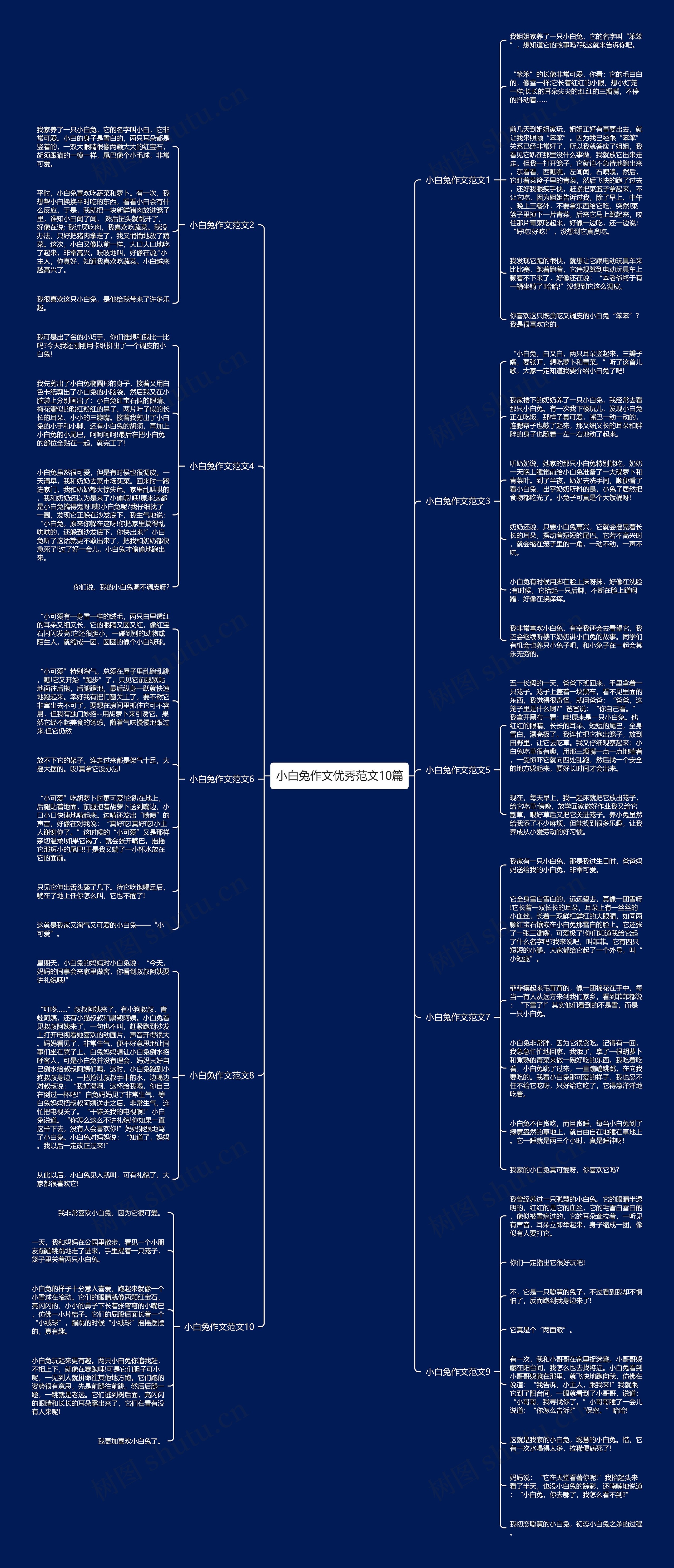 小白兔作文优秀范文10篇思维导图