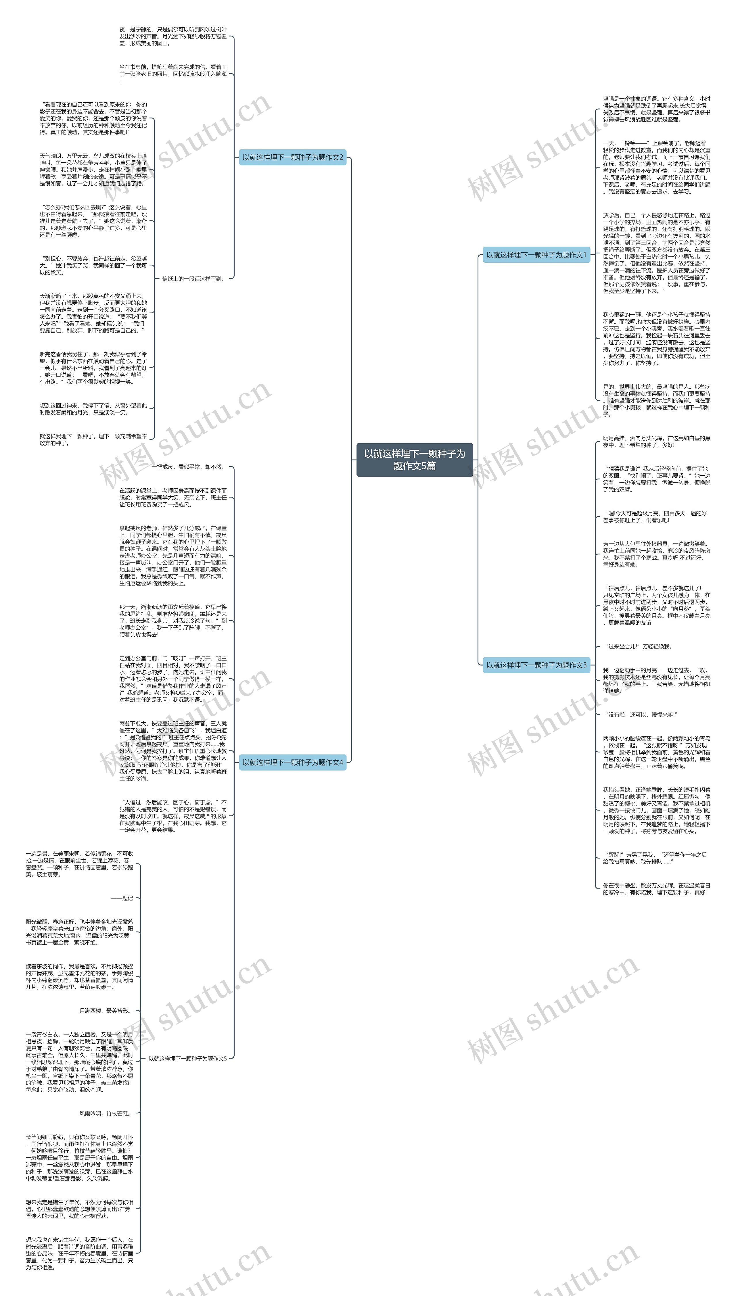 以就这样埋下一颗种子为题作文5篇思维导图