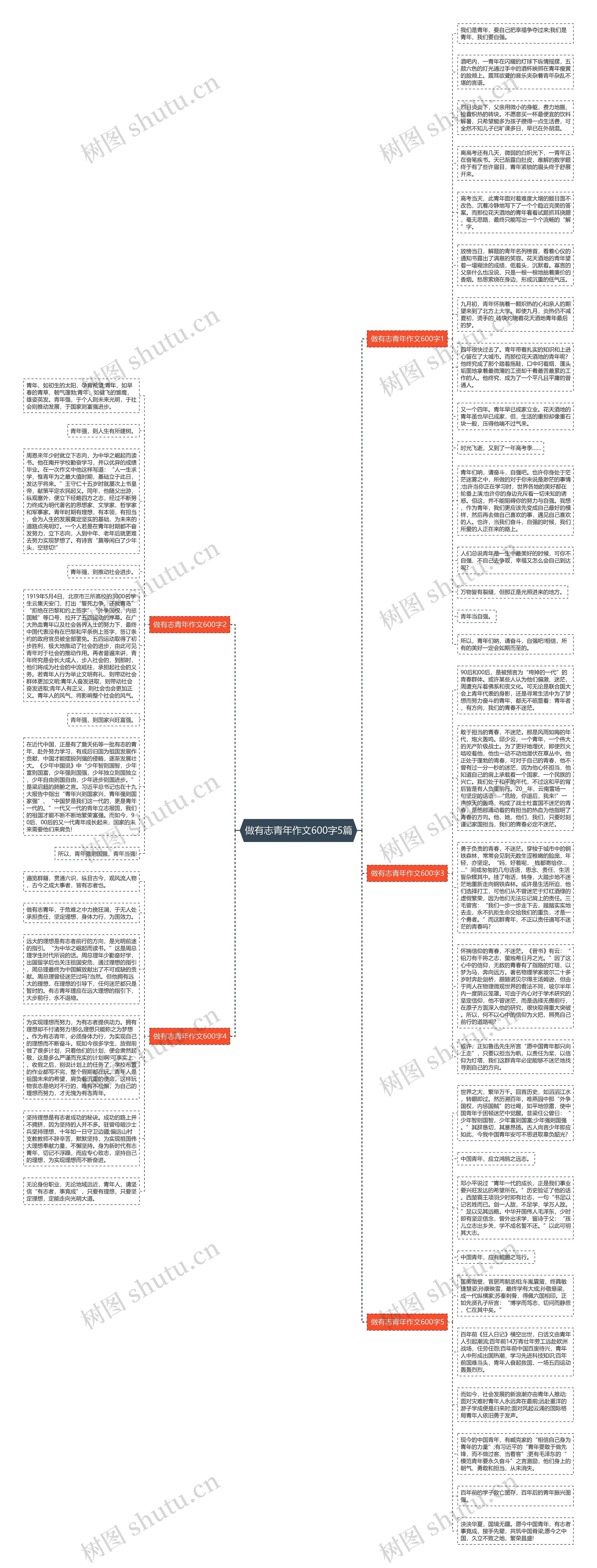 做有志青年作文600字5篇思维导图