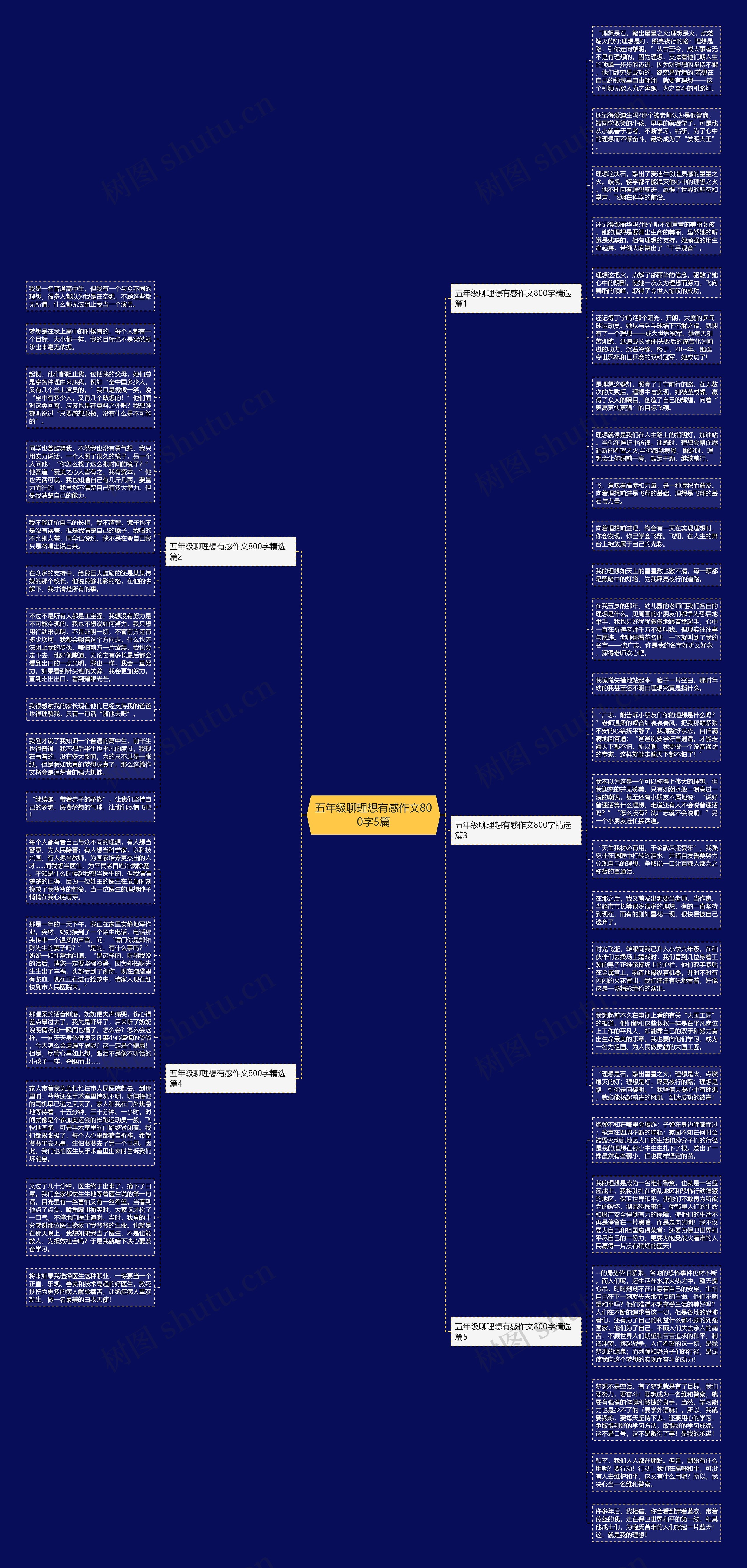 五年级聊理想有感作文800字5篇思维导图
