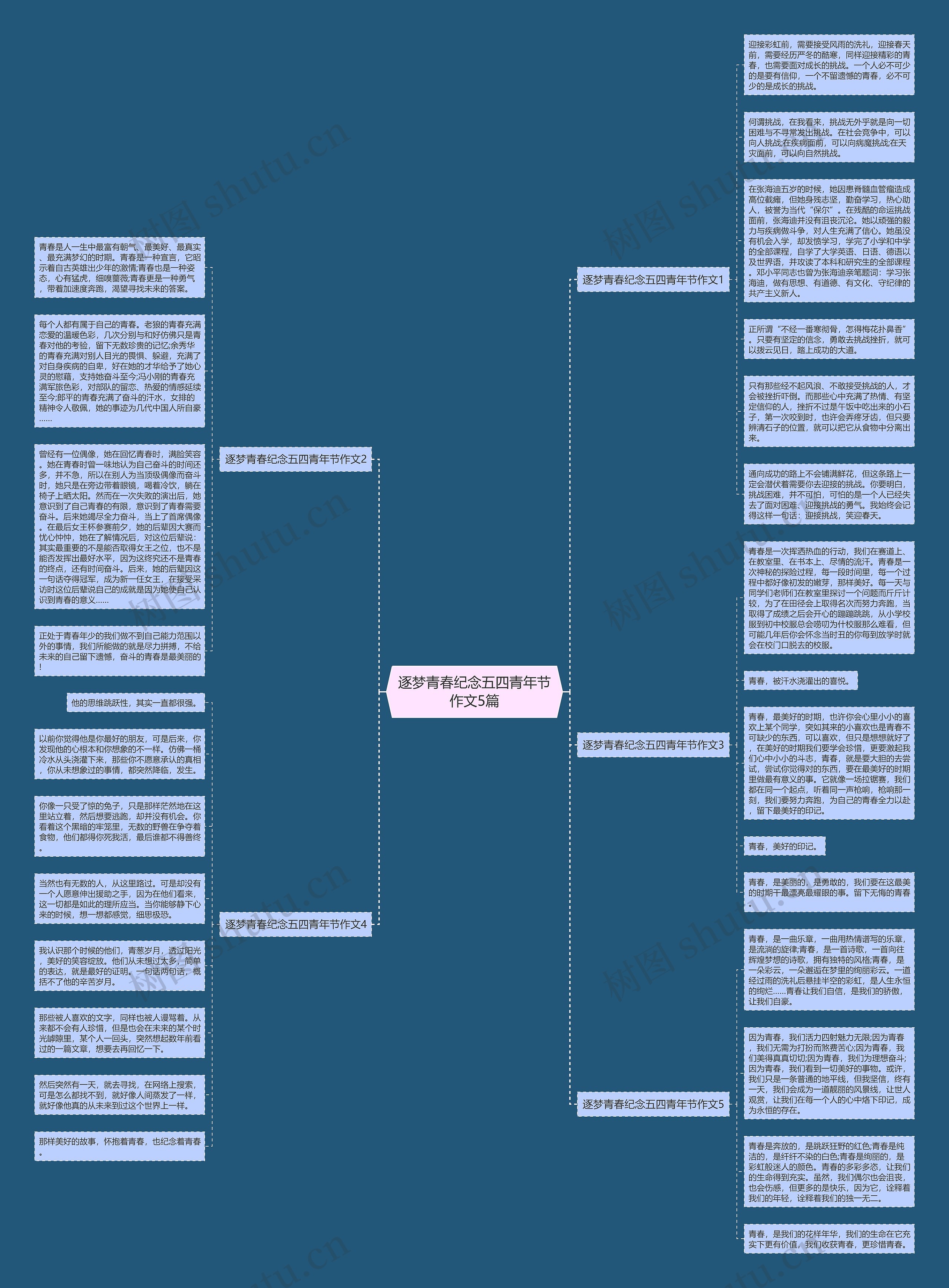 逐梦青春纪念五四青年节作文5篇思维导图