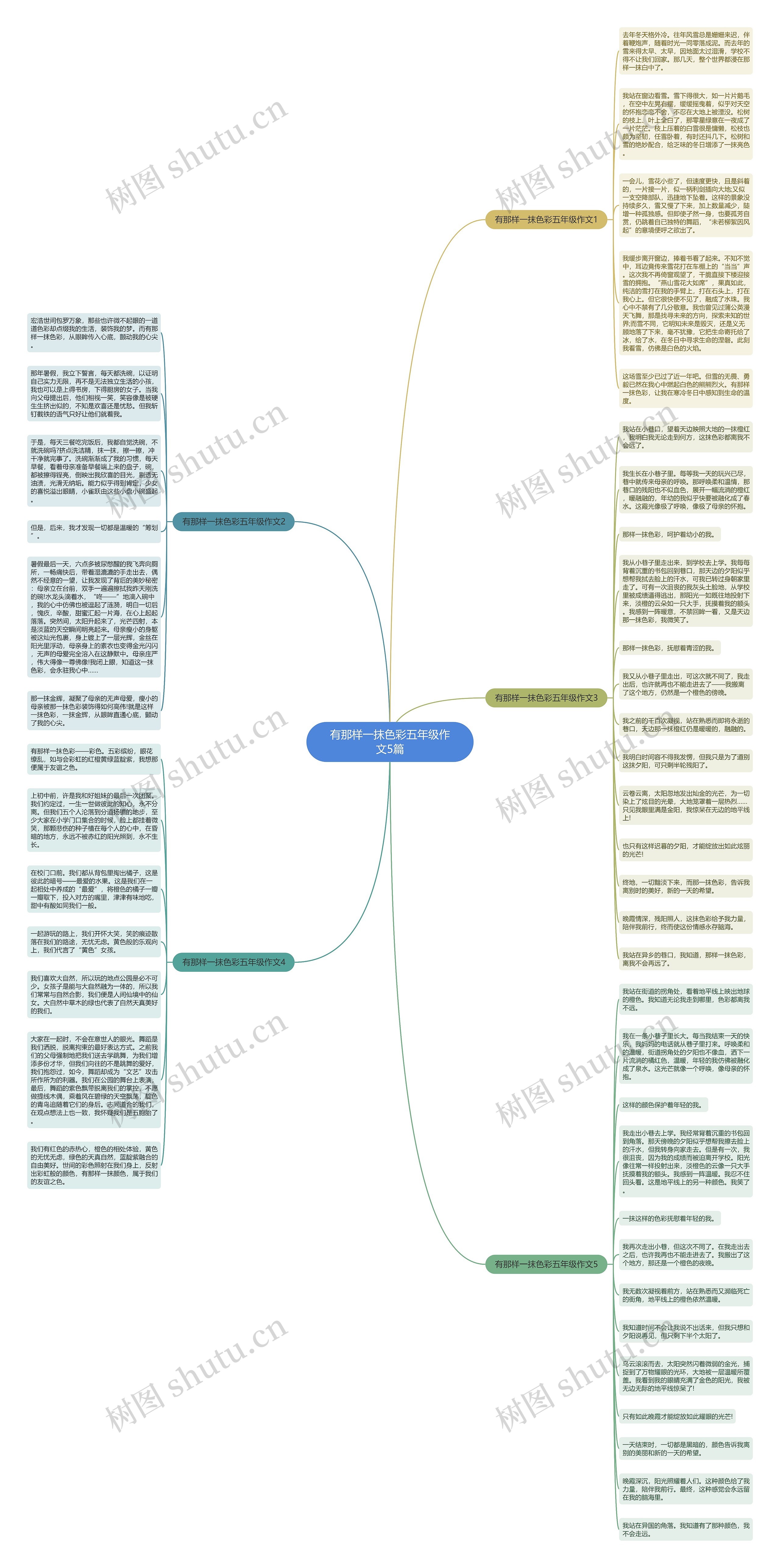 有那样一抹色彩五年级作文5篇思维导图