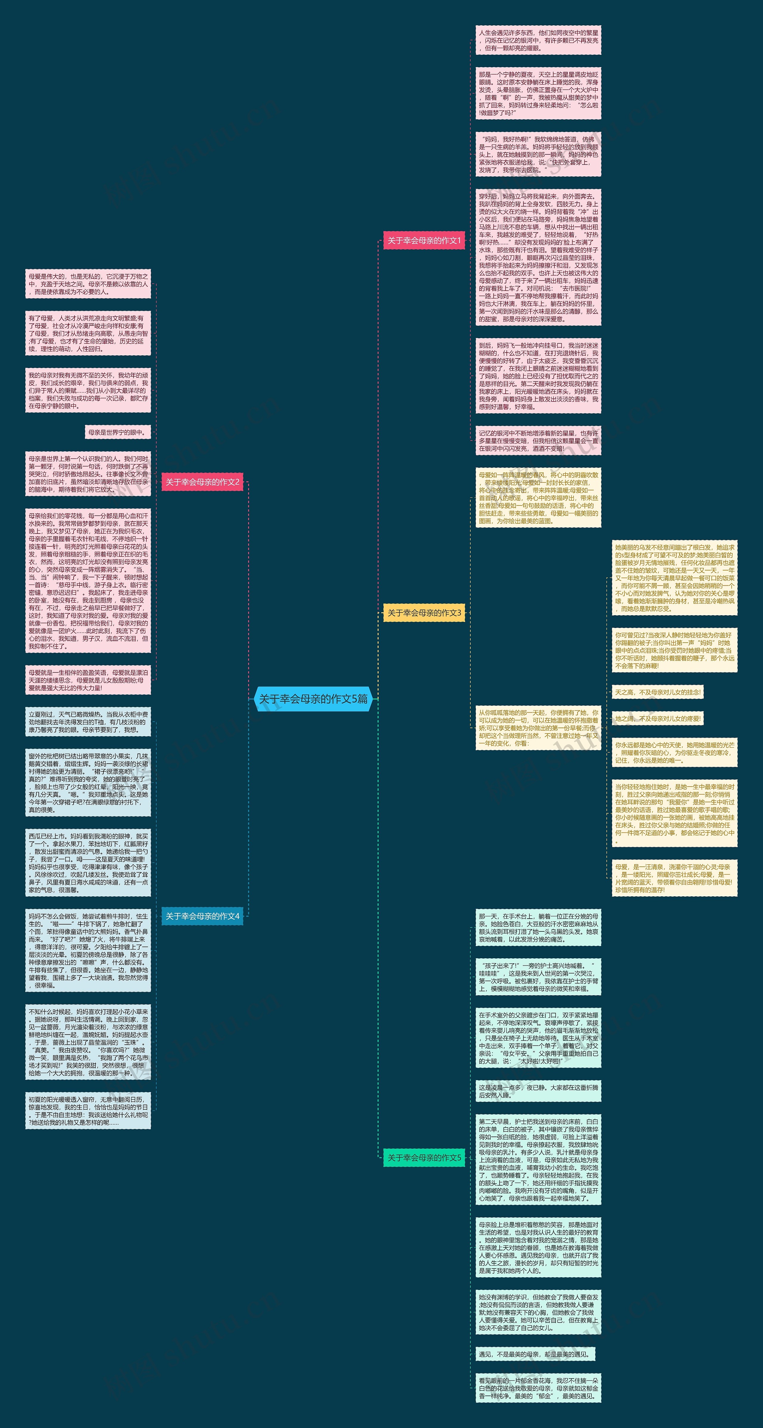 关于幸会母亲的作文5篇思维导图