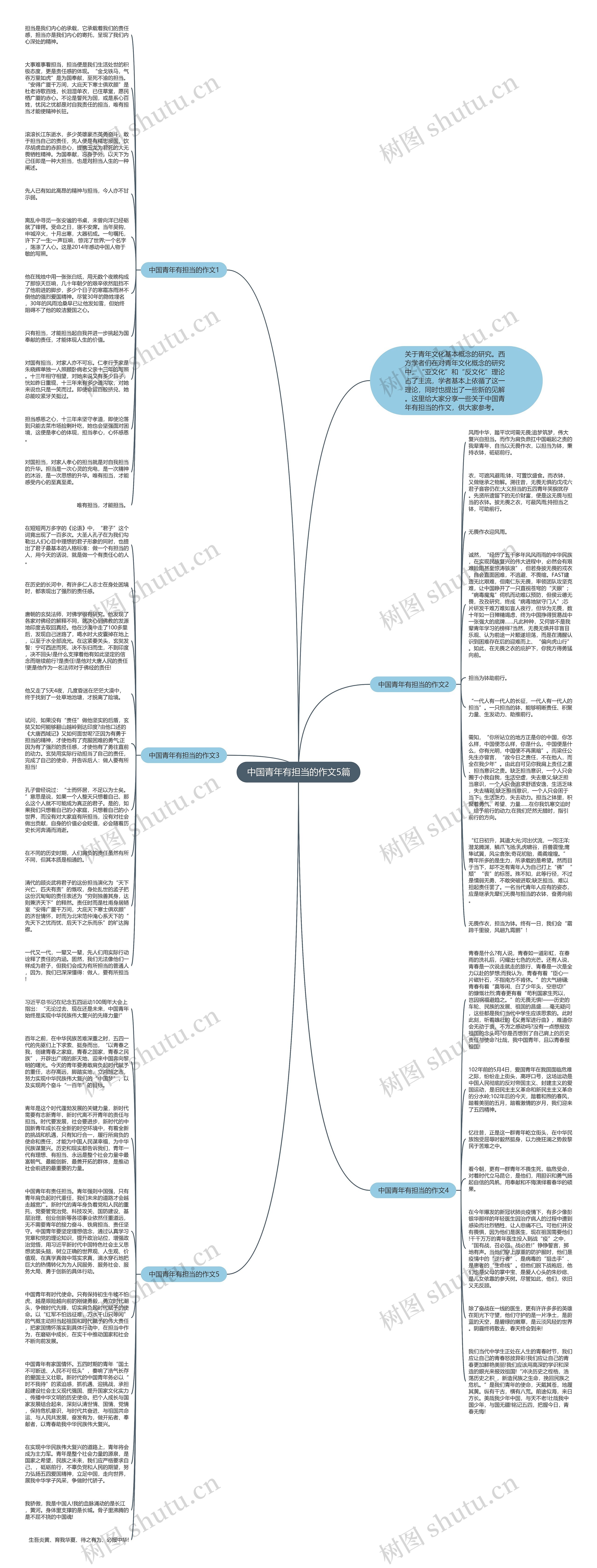 中国青年有担当的作文5篇思维导图