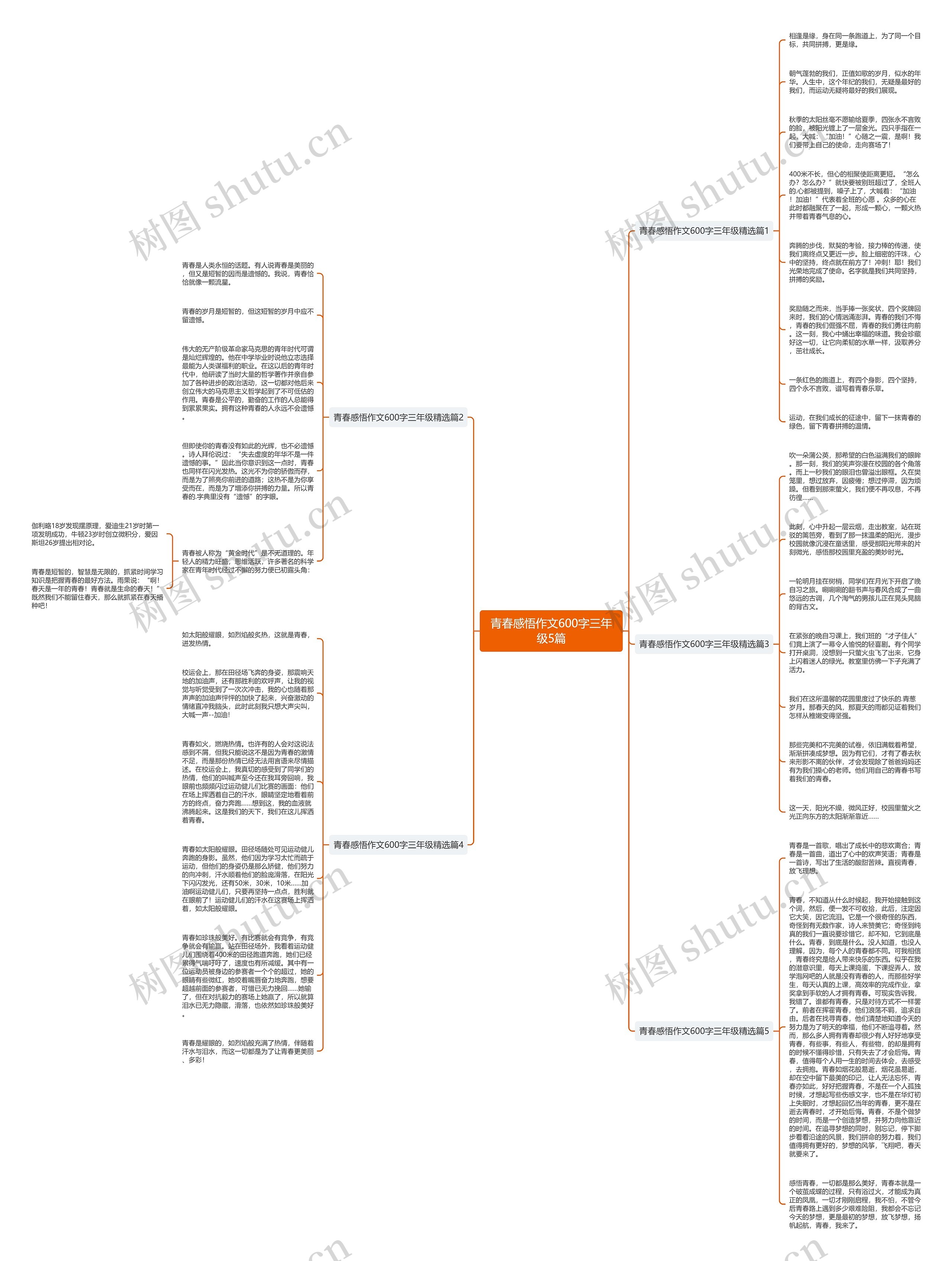 青春感悟作文600字三年级5篇思维导图