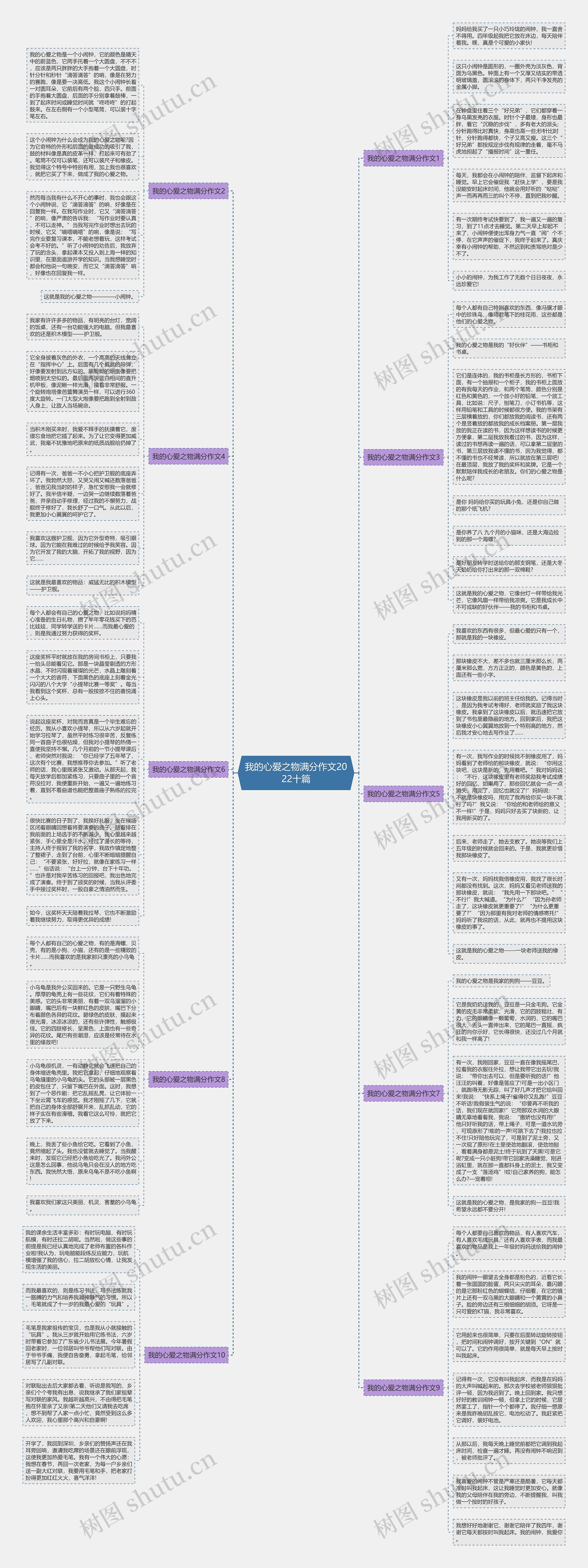 我的心爱之物满分作文2022十篇思维导图