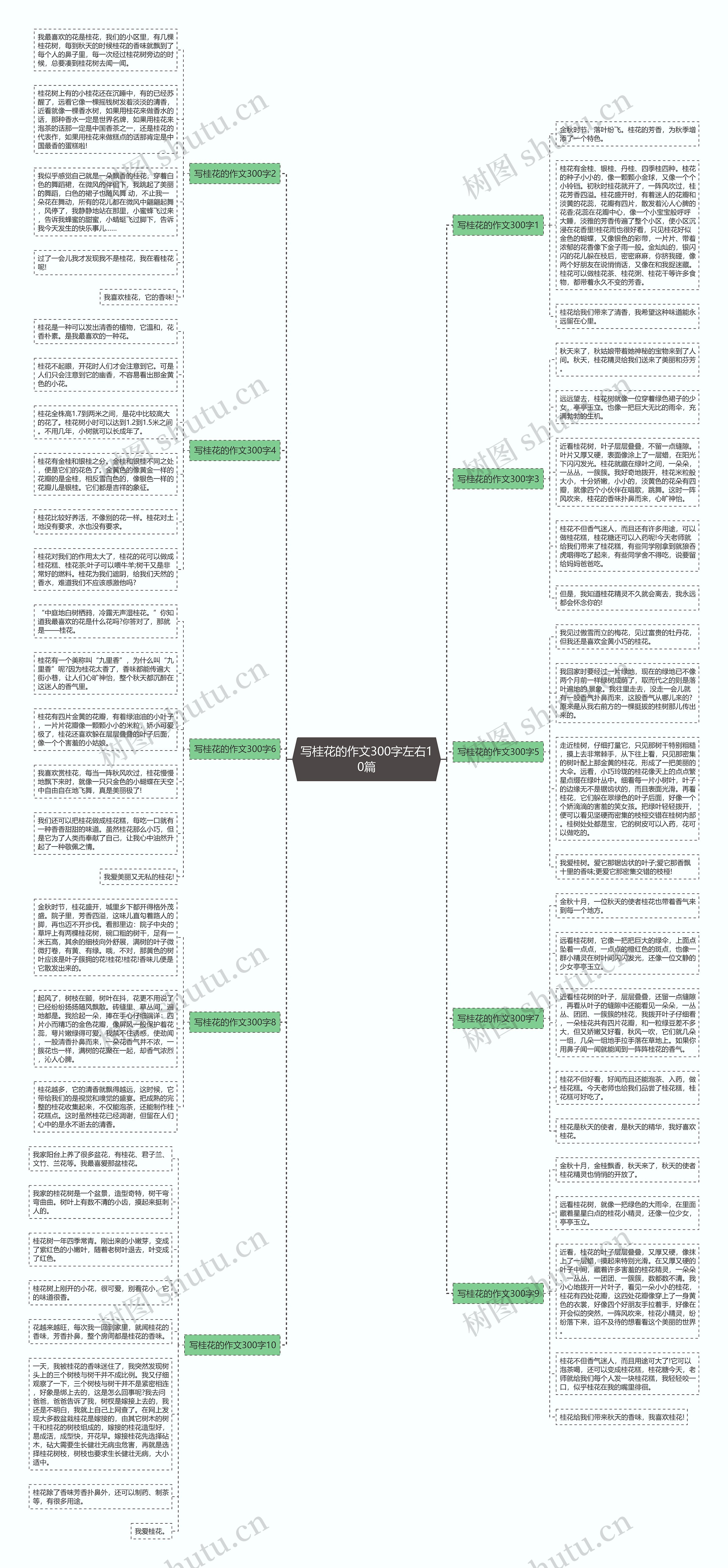 写桂花的作文300字左右10篇思维导图