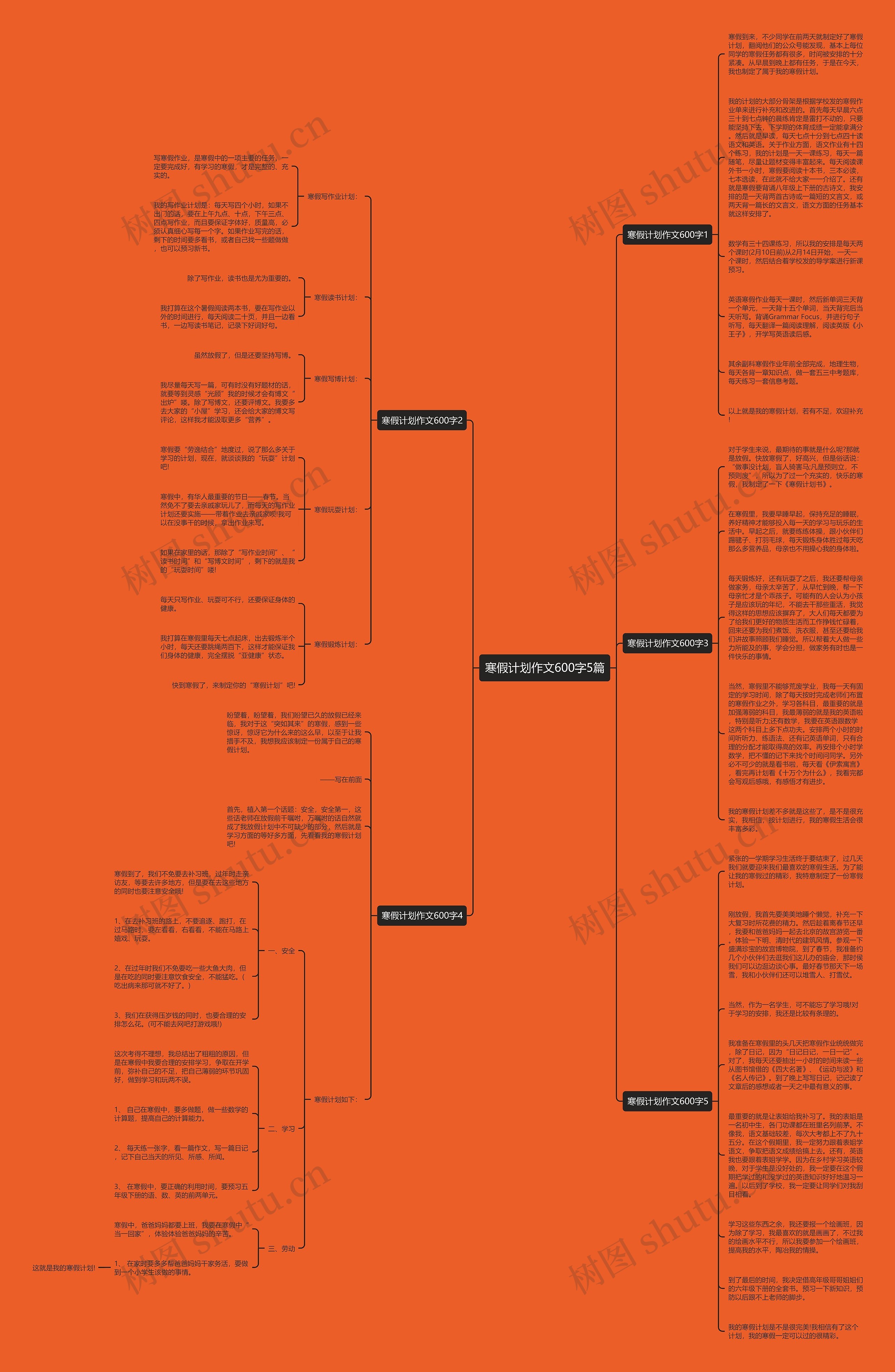 寒假计划作文600字5篇