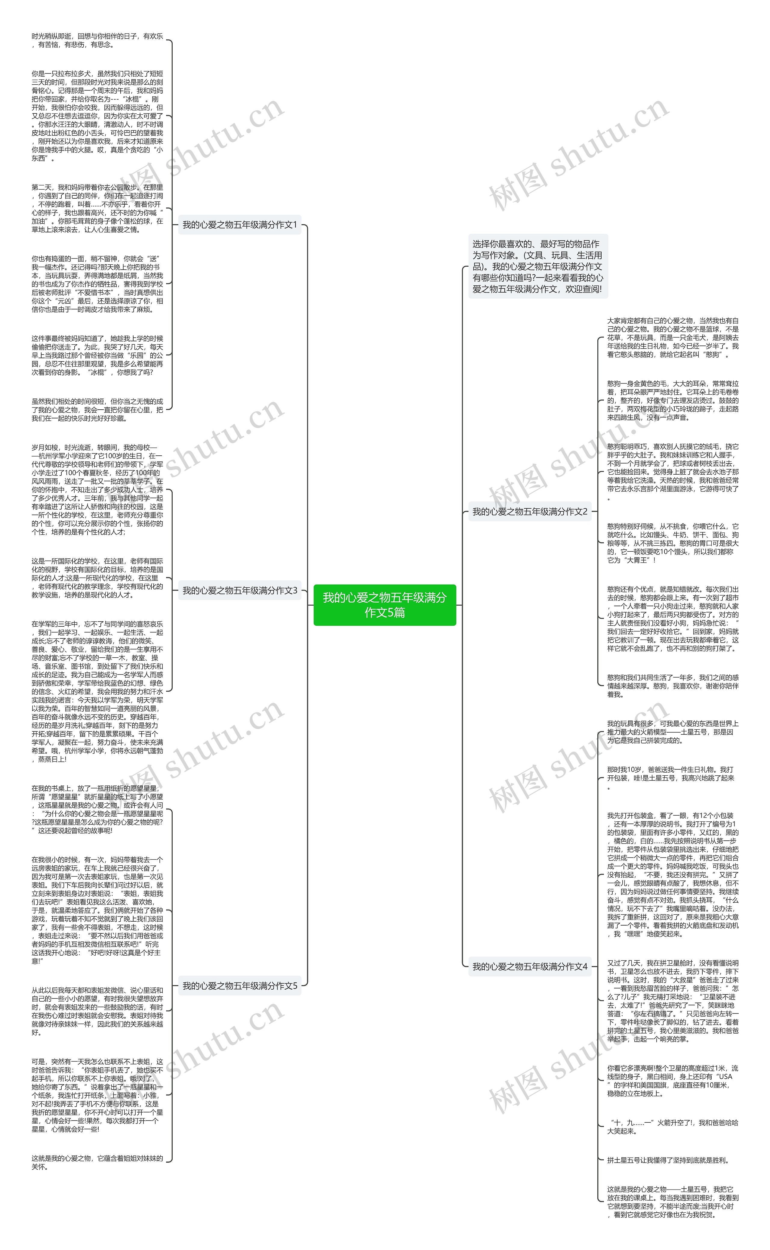 我的心爱之物五年级满分作文5篇思维导图