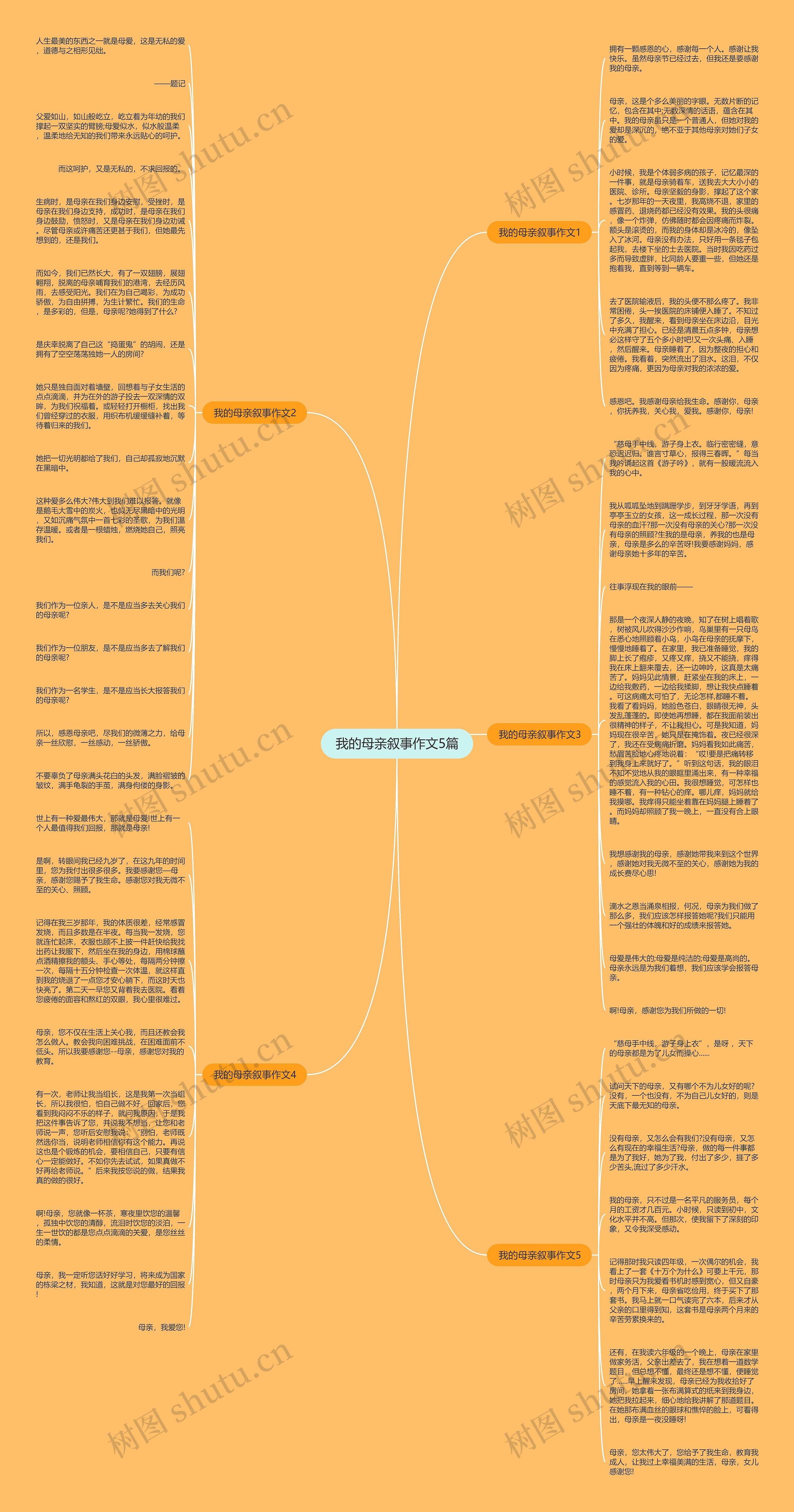 我的母亲叙事作文5篇