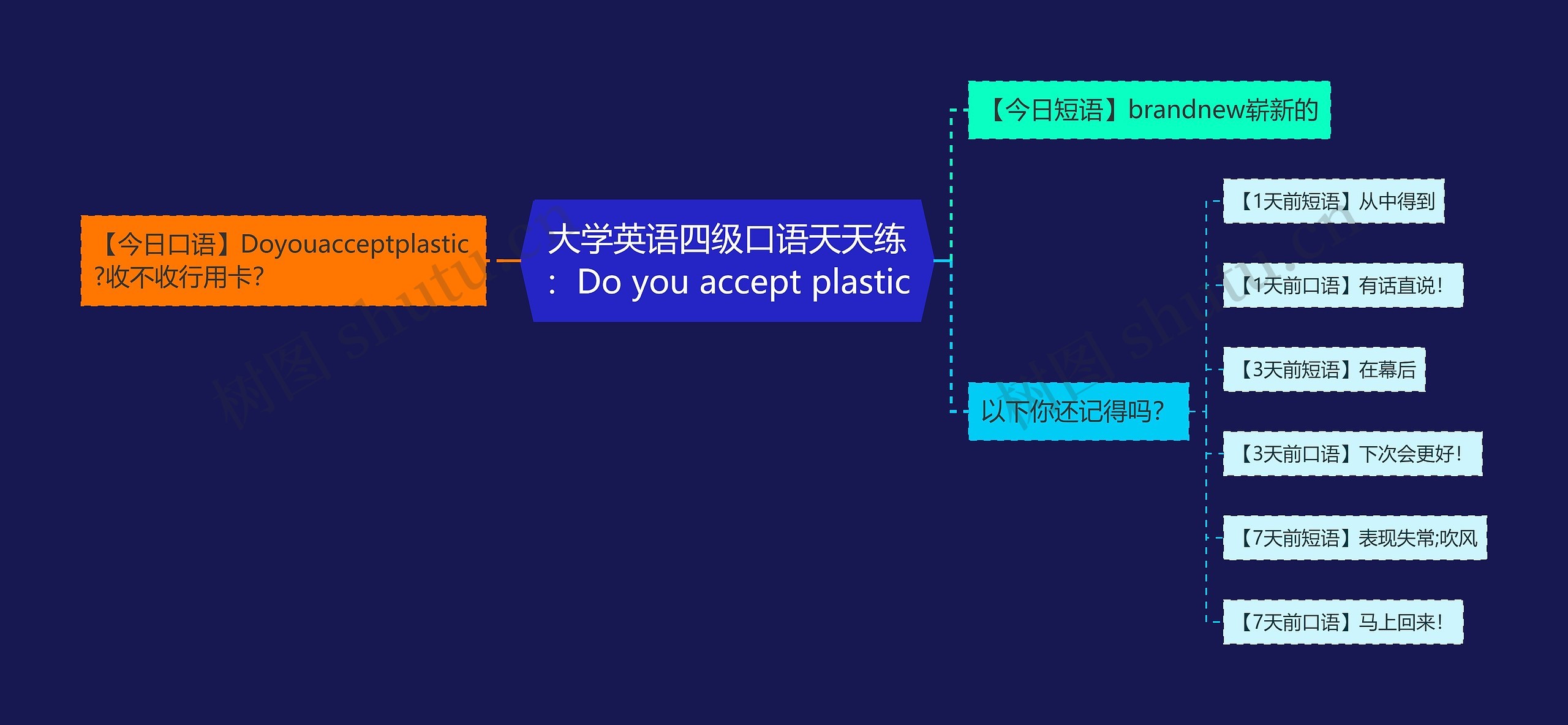 大学英语四级口语天天练：Do you accept plastic