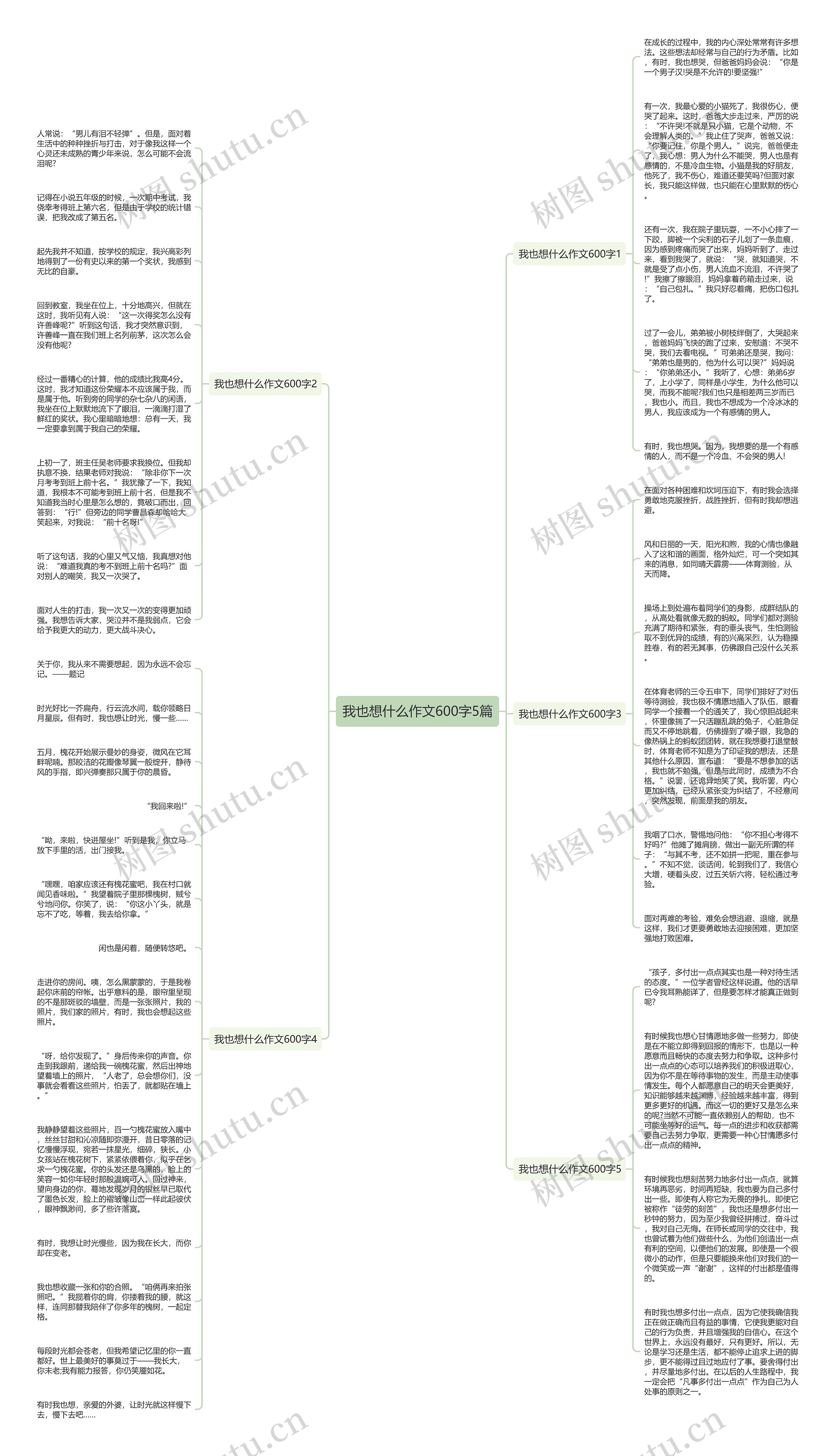 我也想什么作文600字5篇思维导图