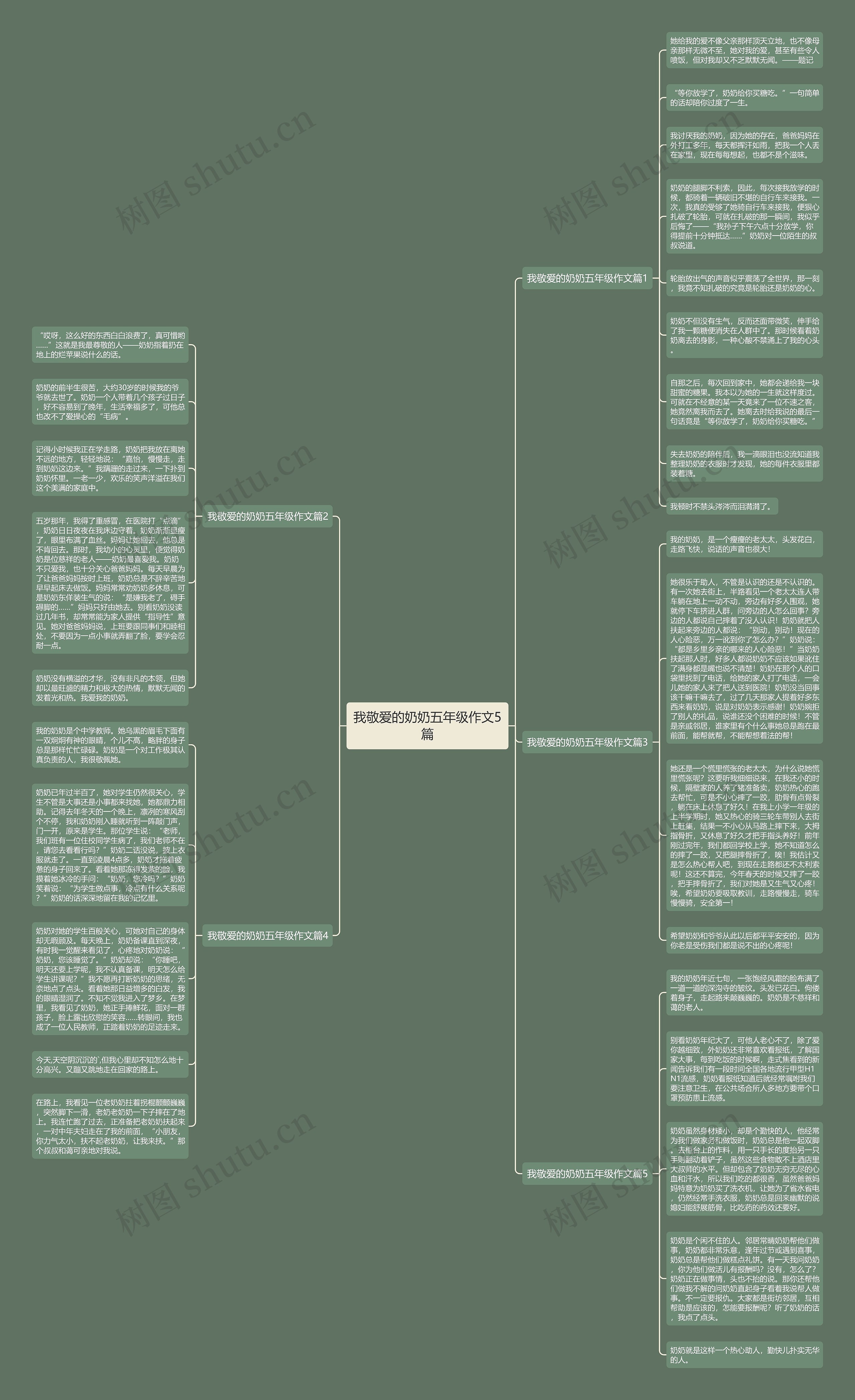 我敬爱的奶奶五年级作文5篇思维导图
