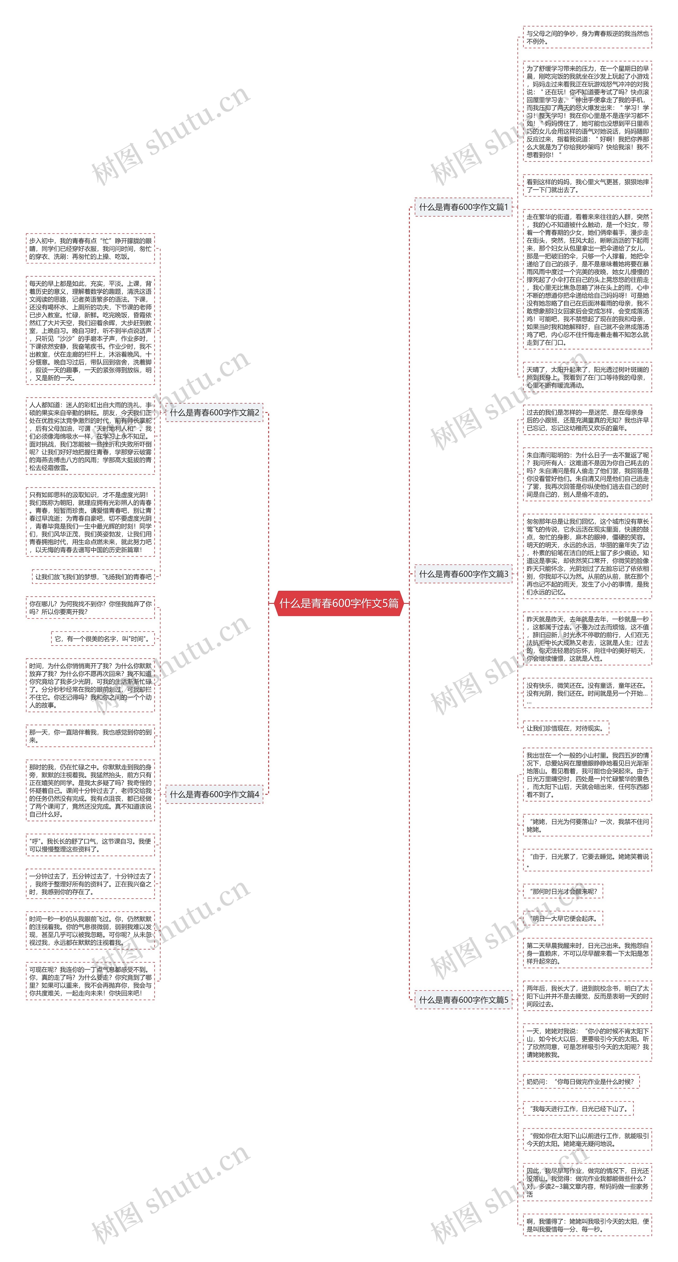 什么是青春600字作文5篇思维导图