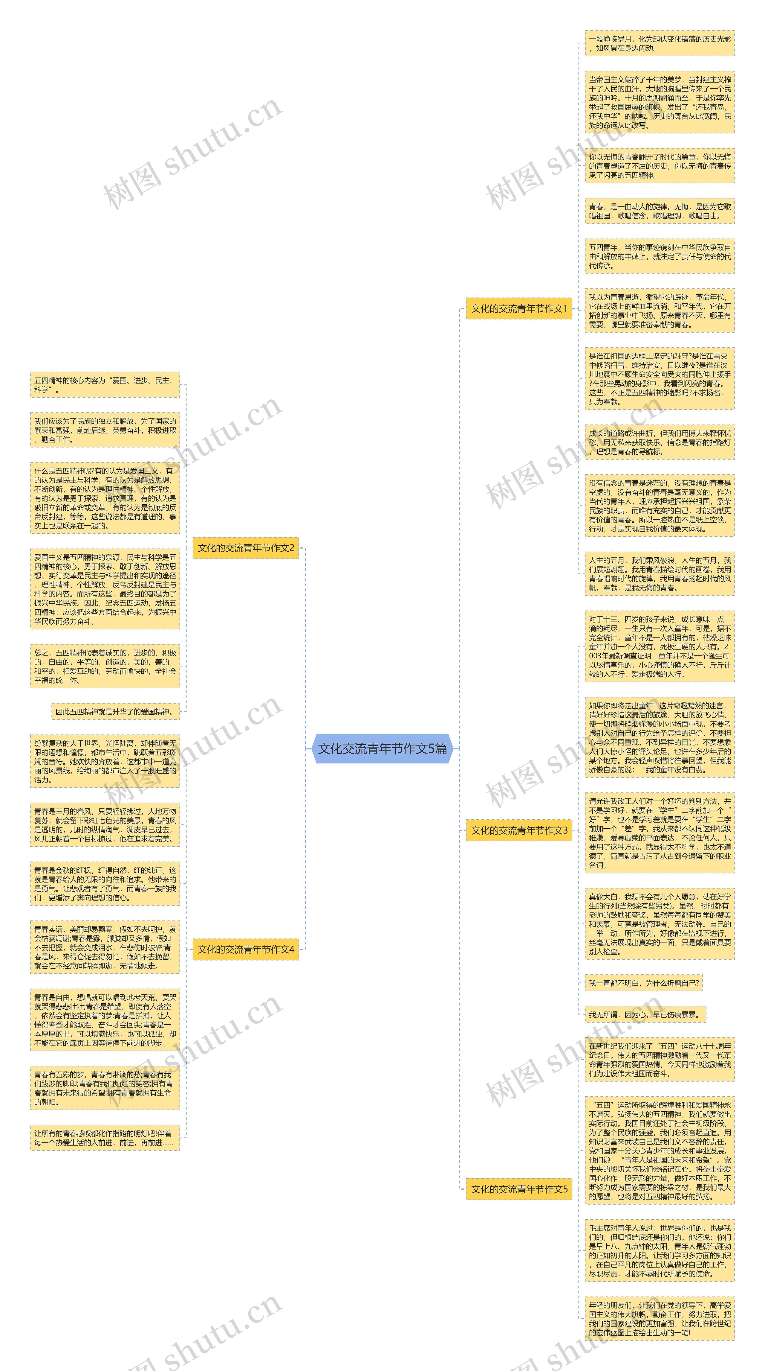 文化交流青年节作文5篇思维导图