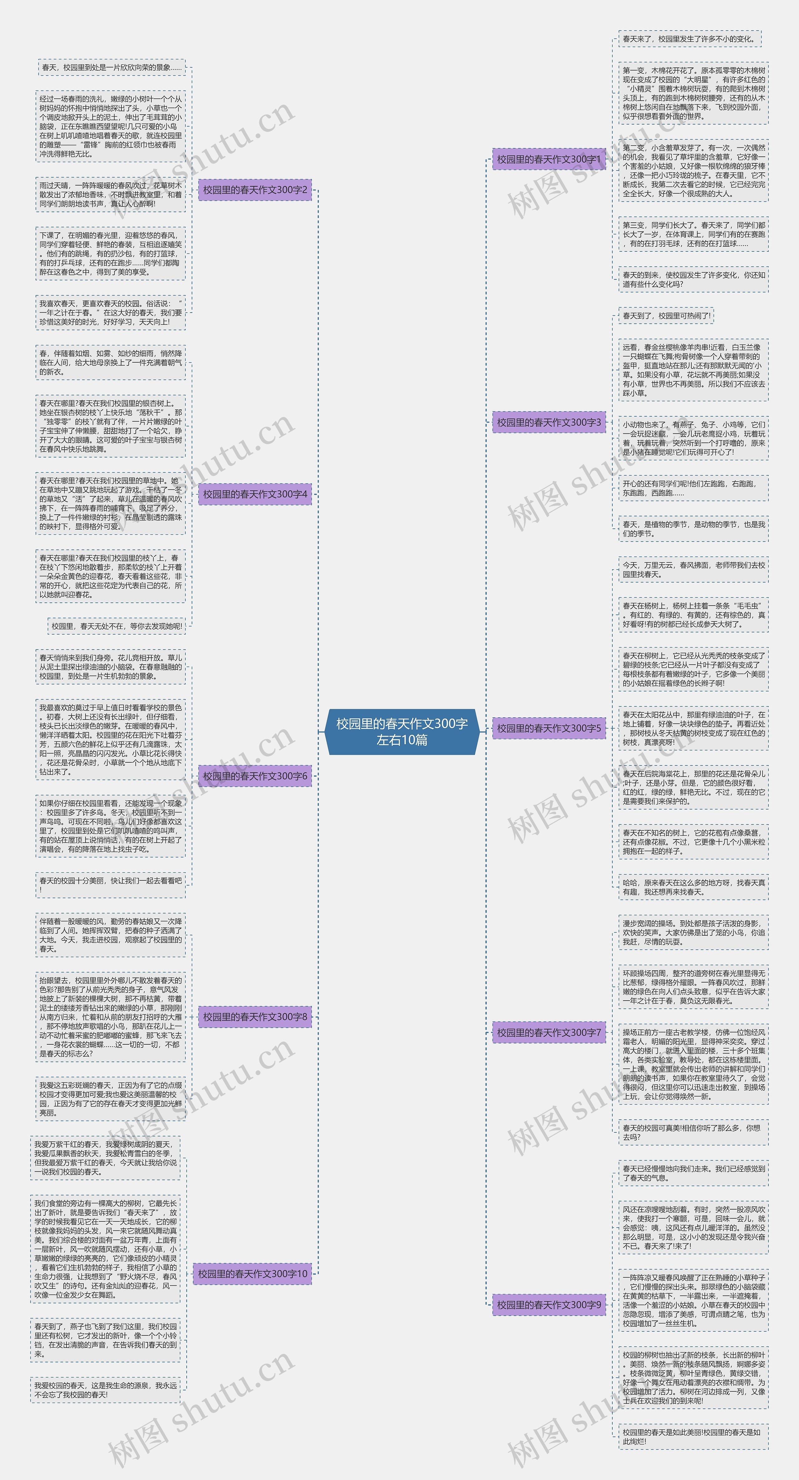 校园里的春天作文300字左右10篇思维导图