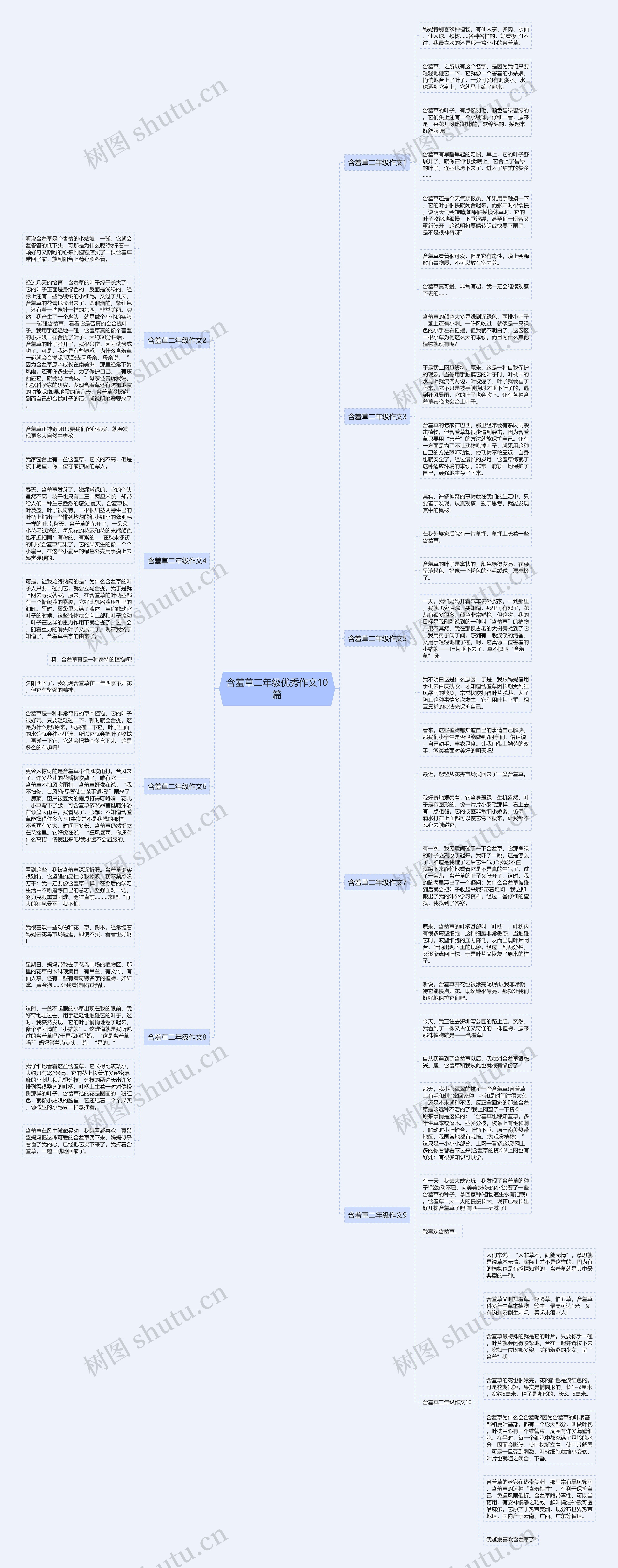 含羞草二年级优秀作文10篇思维导图