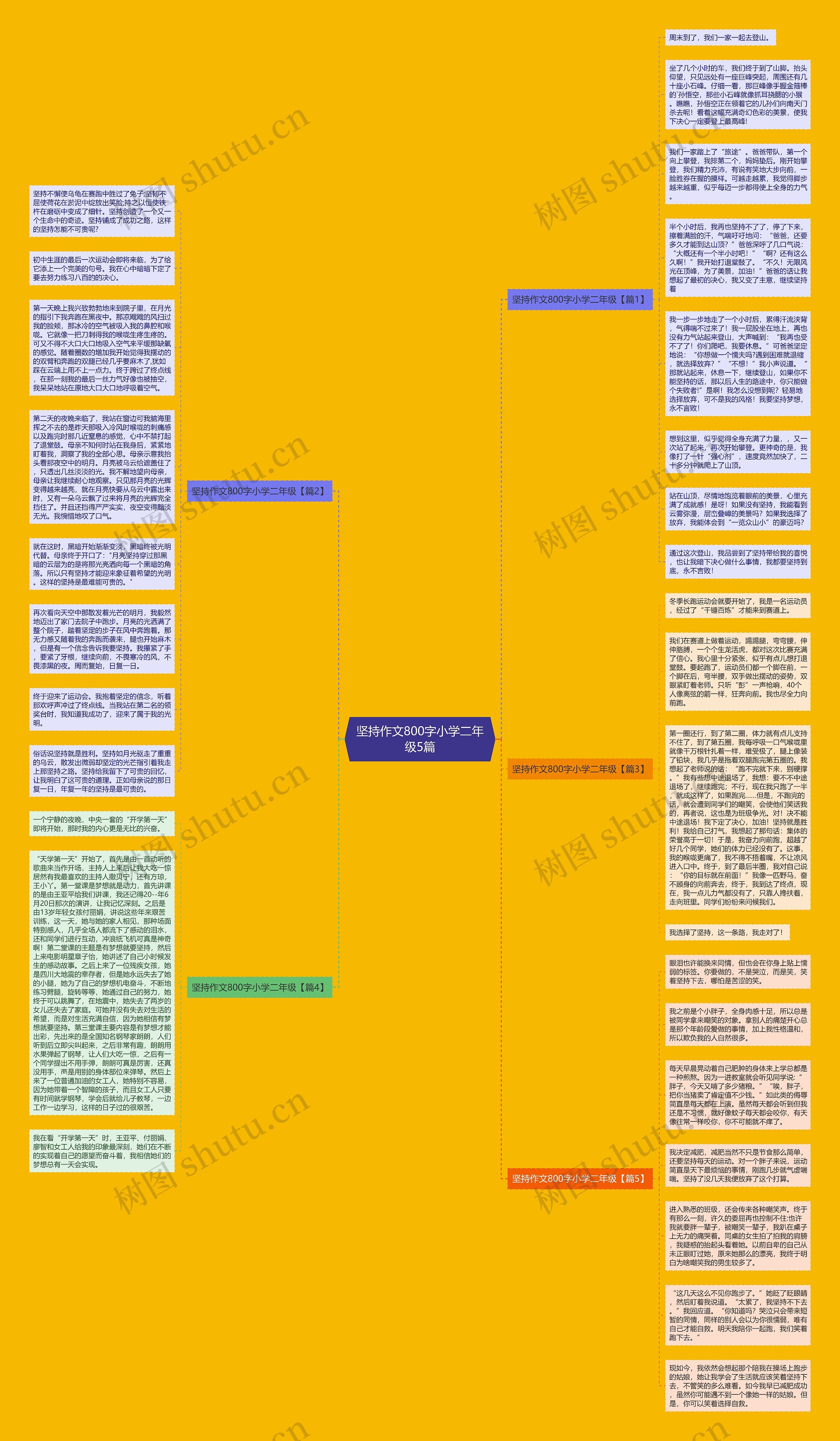 坚持作文800字小学二年级5篇思维导图