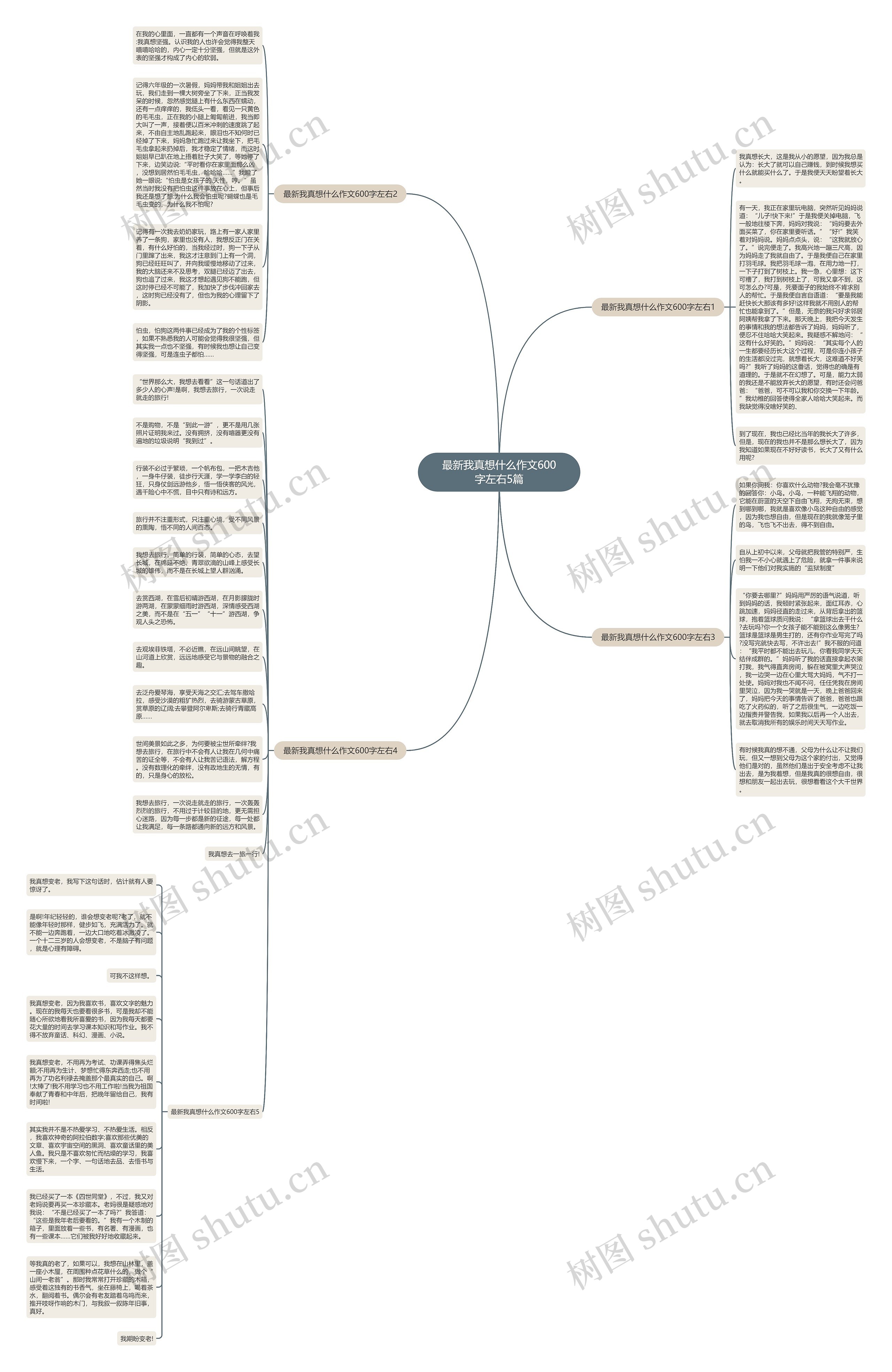最新我真想什么作文600字左右5篇思维导图
