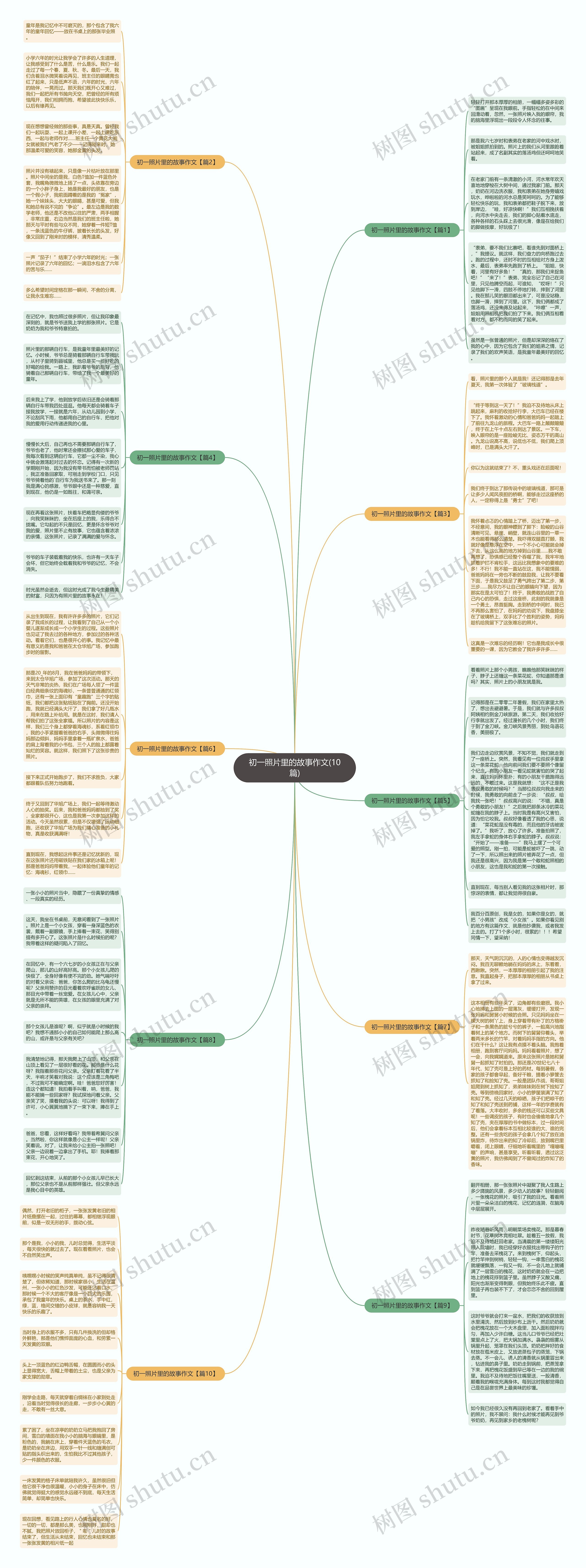 初一照片里的故事作文(10篇)思维导图
