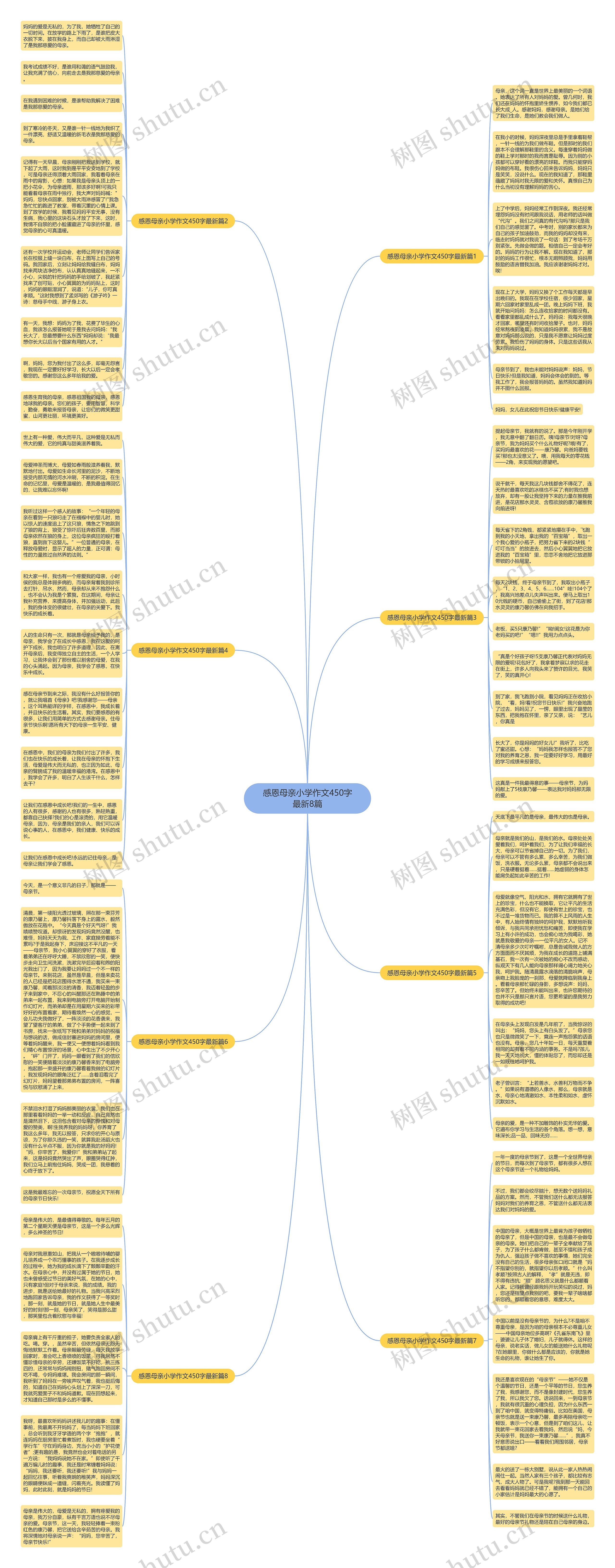 感恩母亲小学作文450字最新8篇思维导图