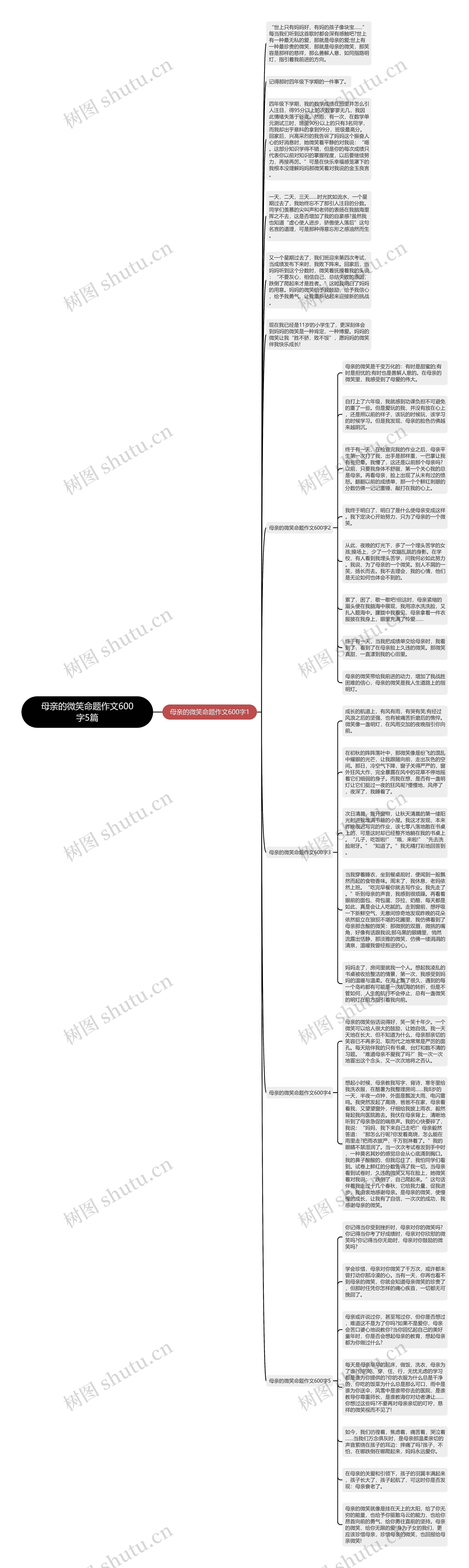 母亲的微笑命题作文600字5篇思维导图