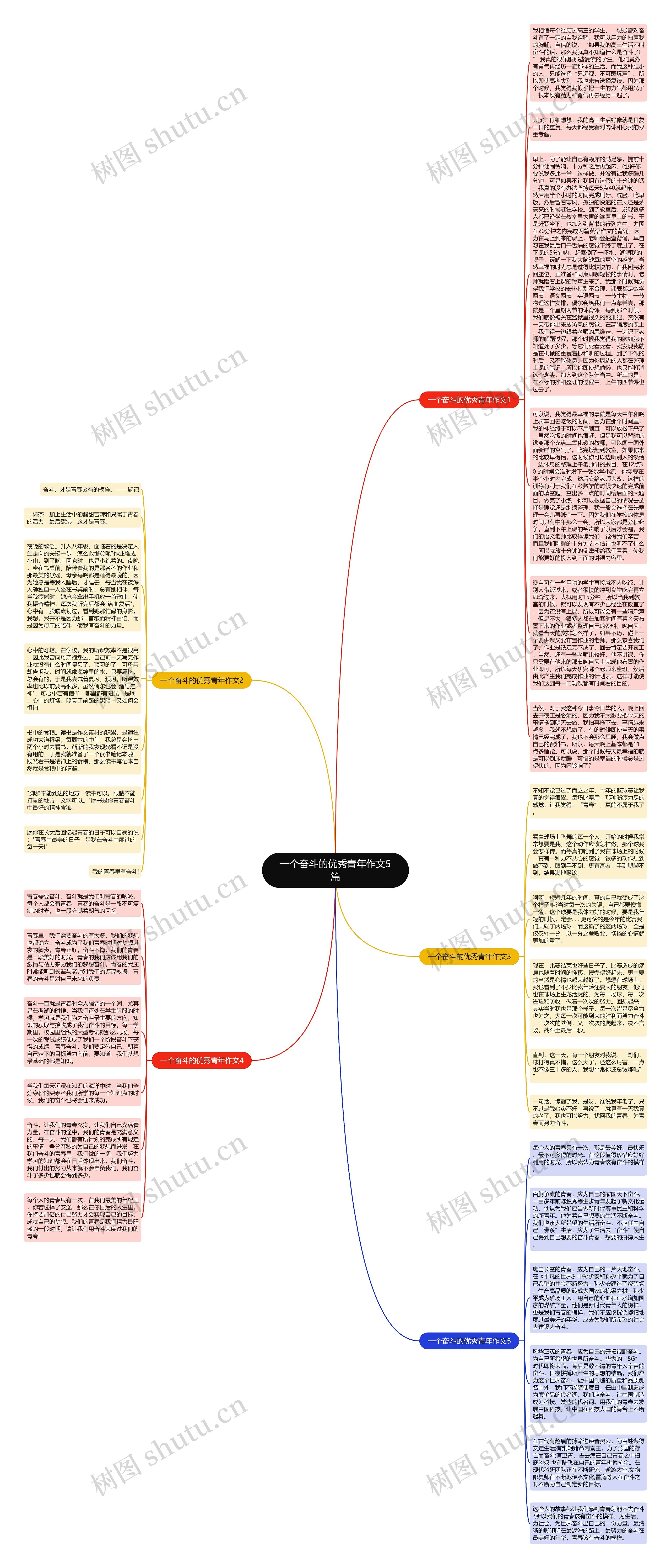 一个奋斗的优秀青年作文5篇思维导图