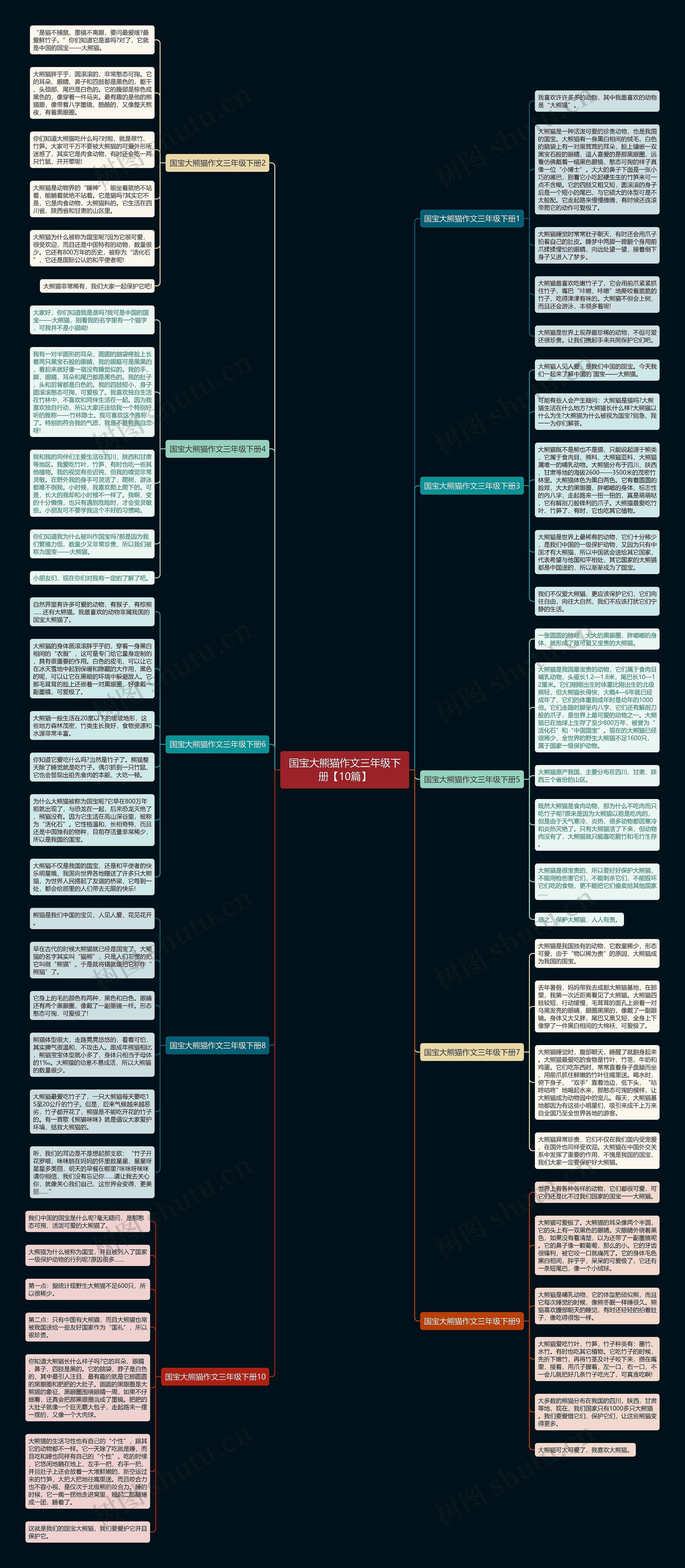 国宝大熊猫作文三年级下册【10篇】思维导图