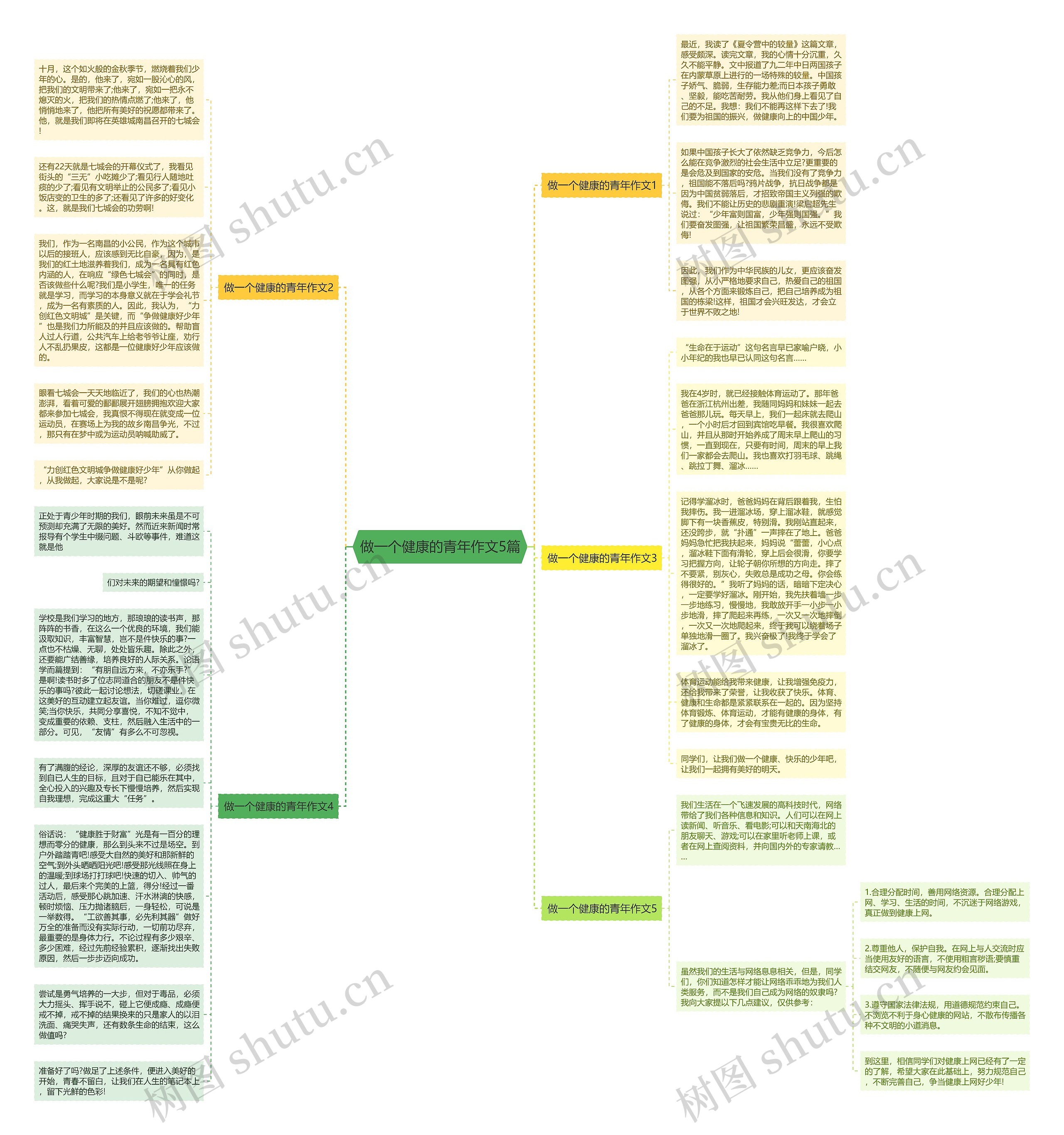 做一个健康的青年作文5篇思维导图