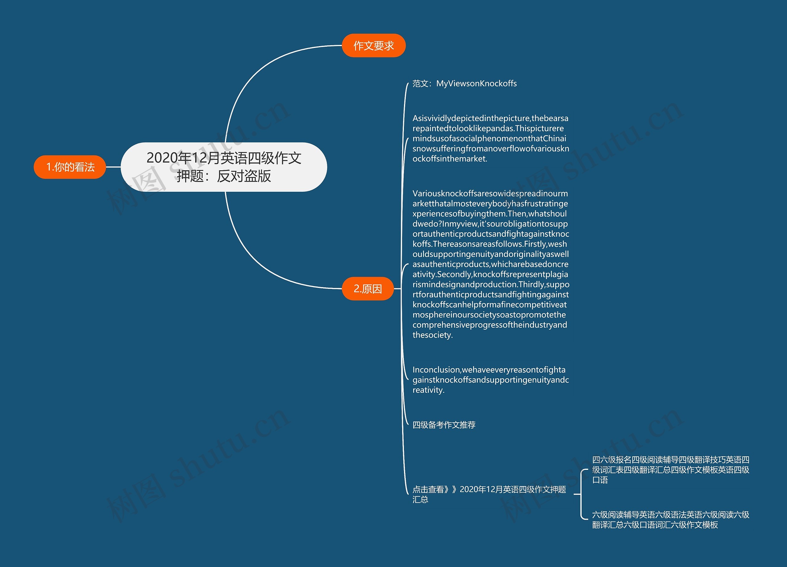 2020年12月英语四级作文押题：反对盗版思维导图