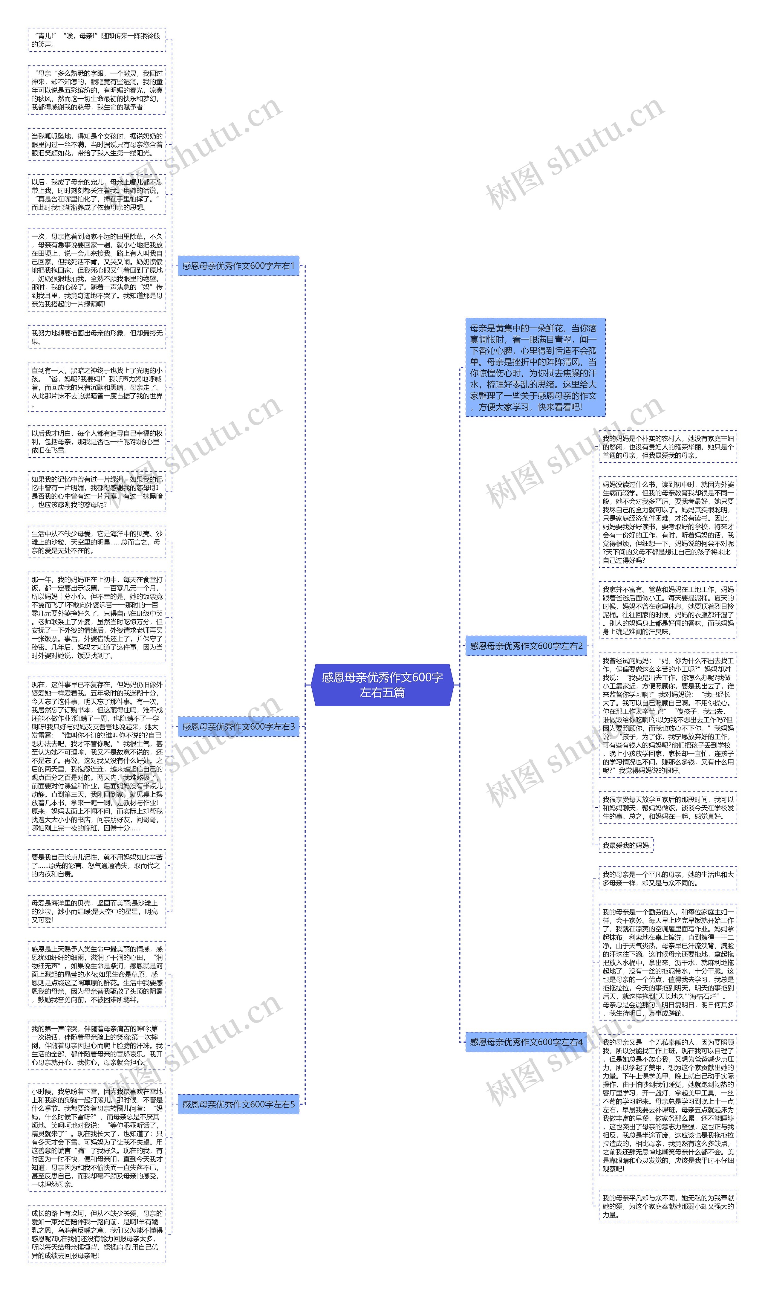 感恩母亲优秀作文600字左右五篇思维导图